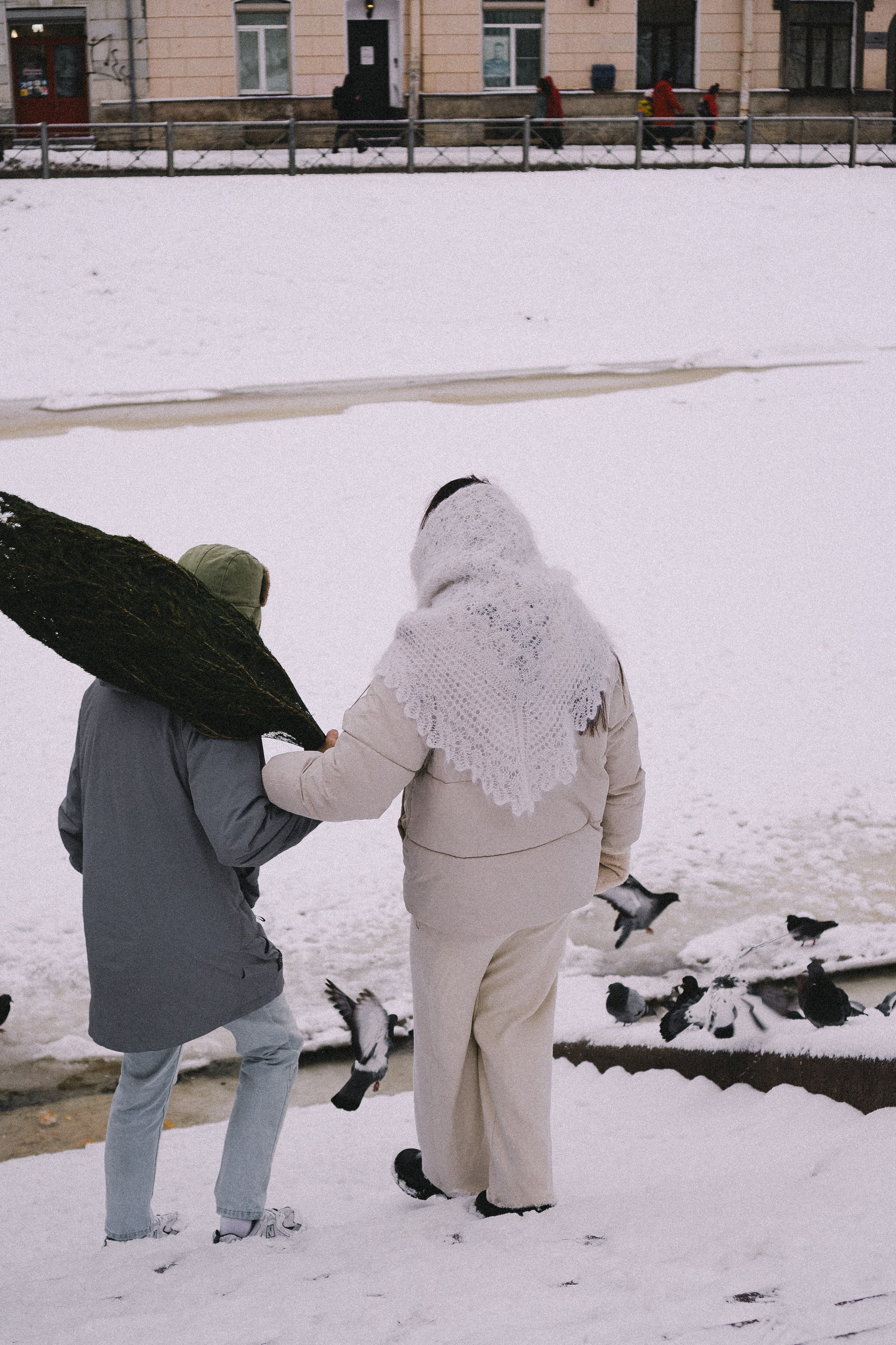 Зимняя история. Профессиональный фотограф, Санкт-Петербург — Виктория Богомолова