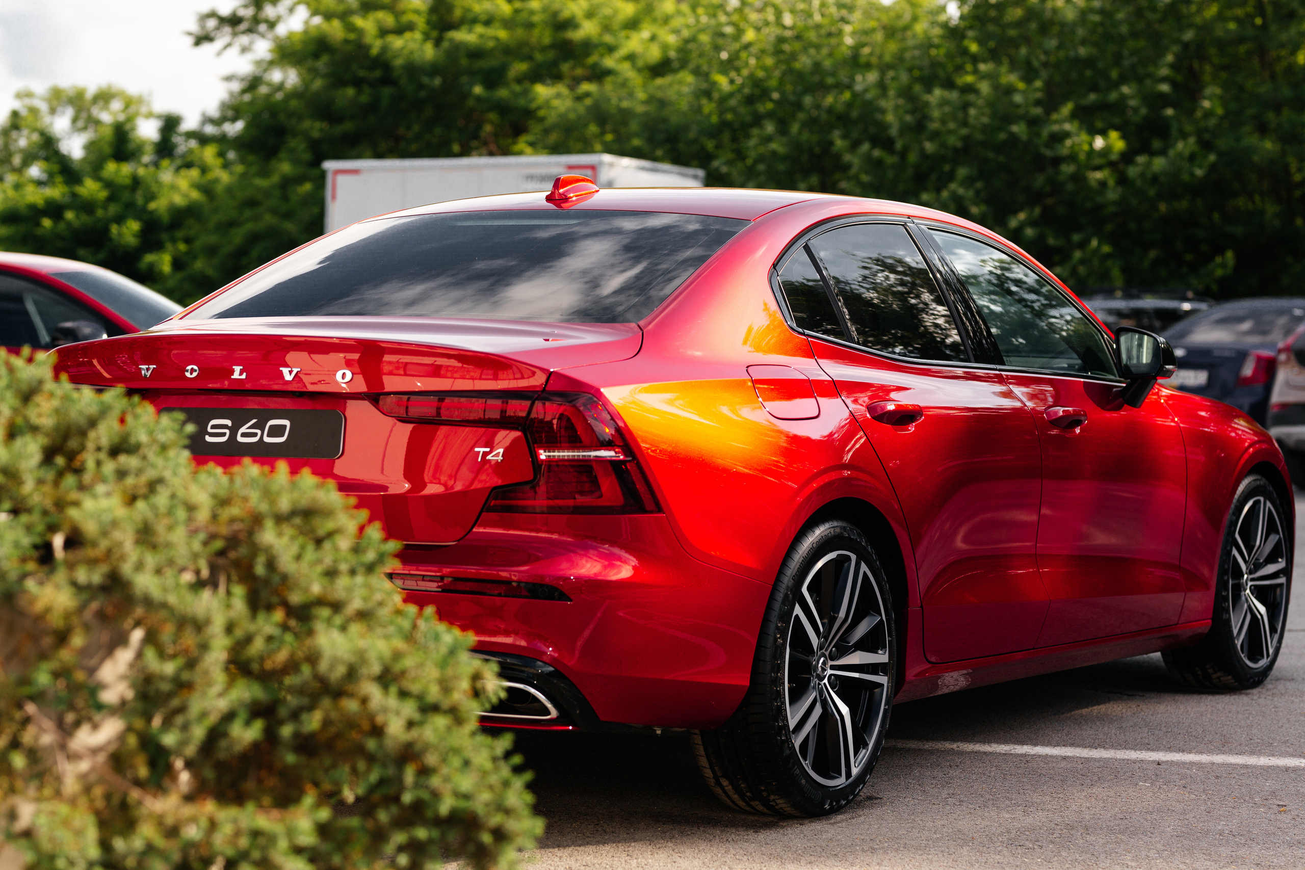 REAKTOR. Свадебный фотограф  Ростов-на-Дону Моска, Санкт — Петербург