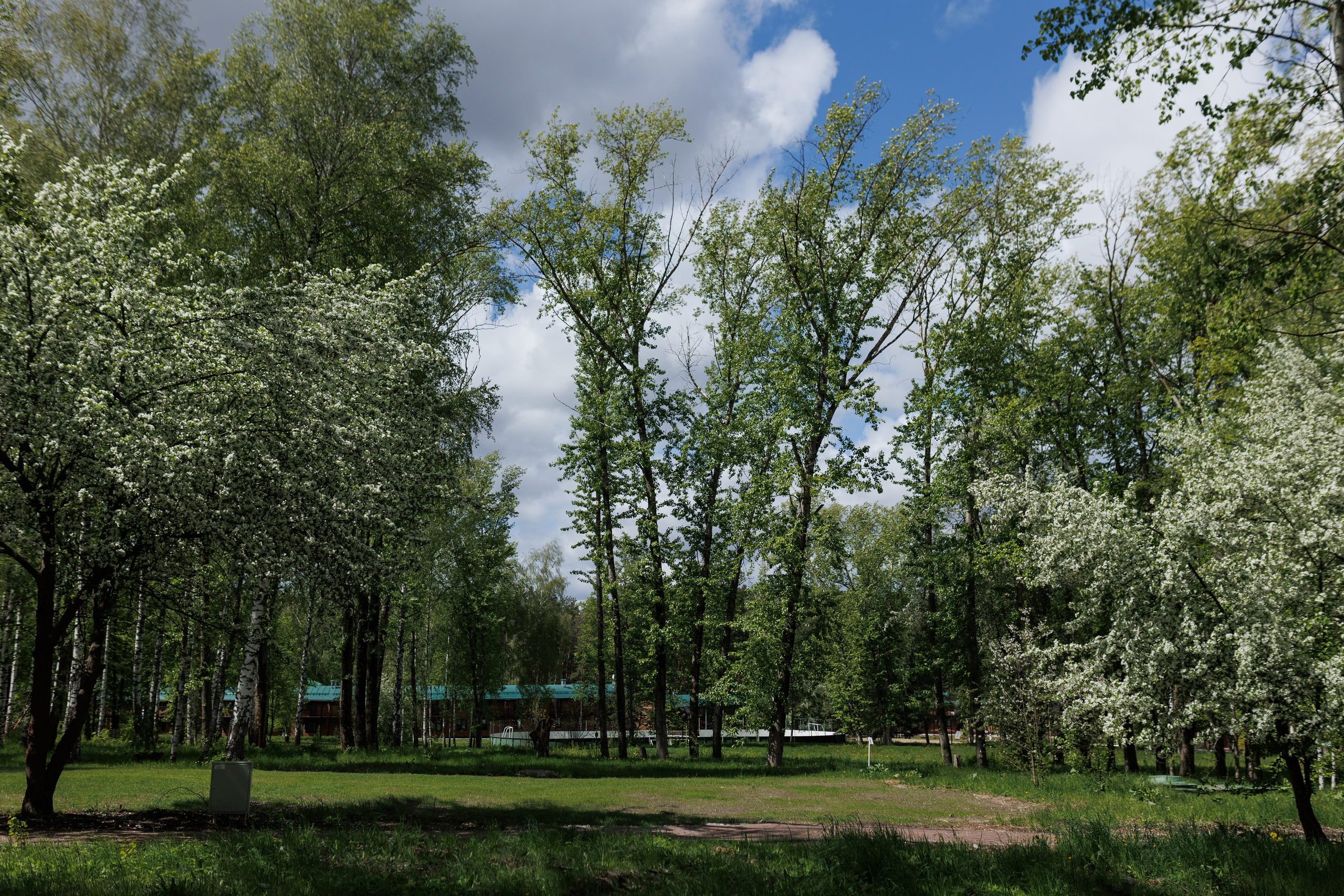 База отдыха «Металлург». Фотограф городских и семейных событий в Нижнем Новгороде Артем Карпухин