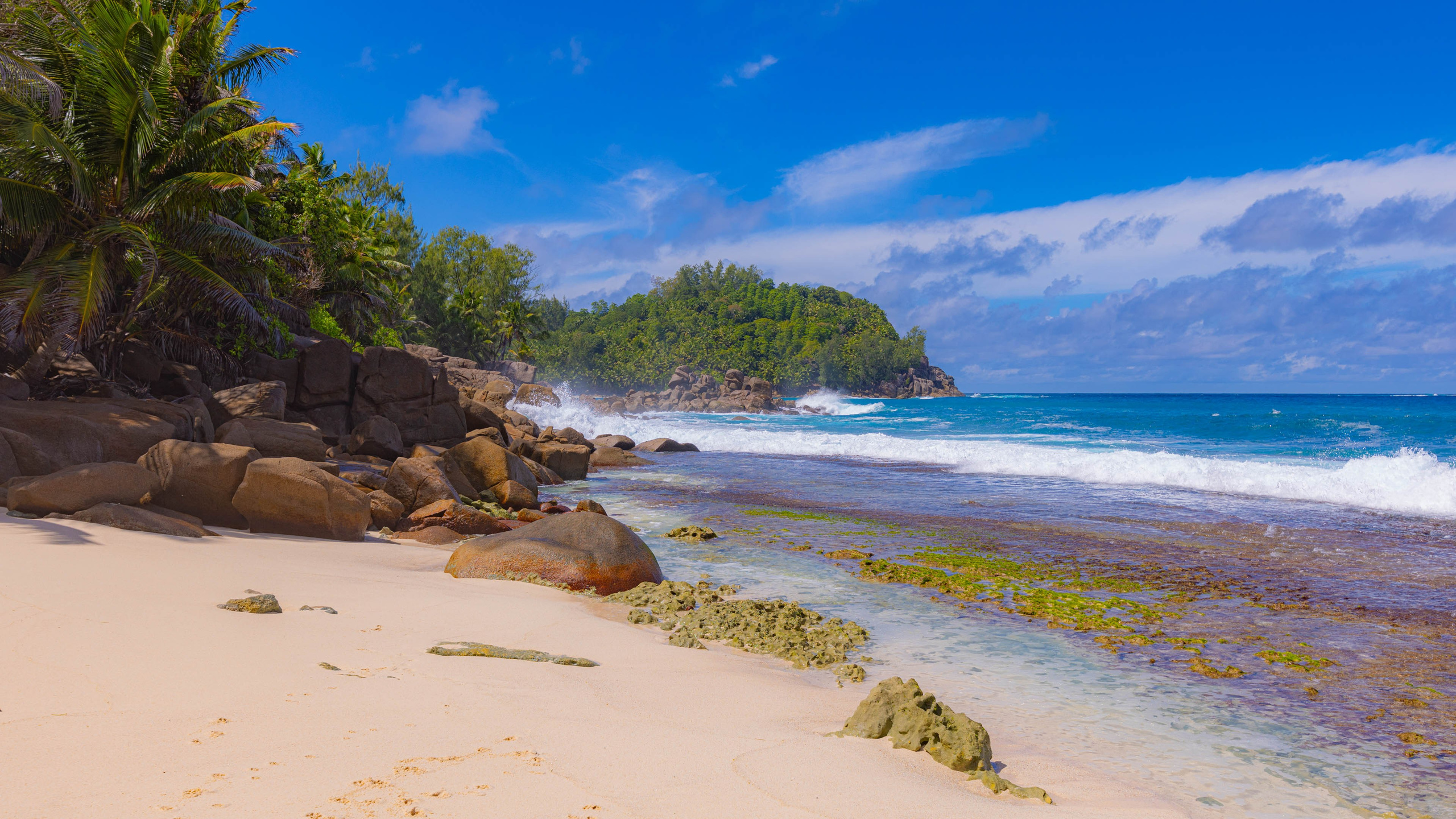 2025 07 Сейшелы (Маэ). Фотографии