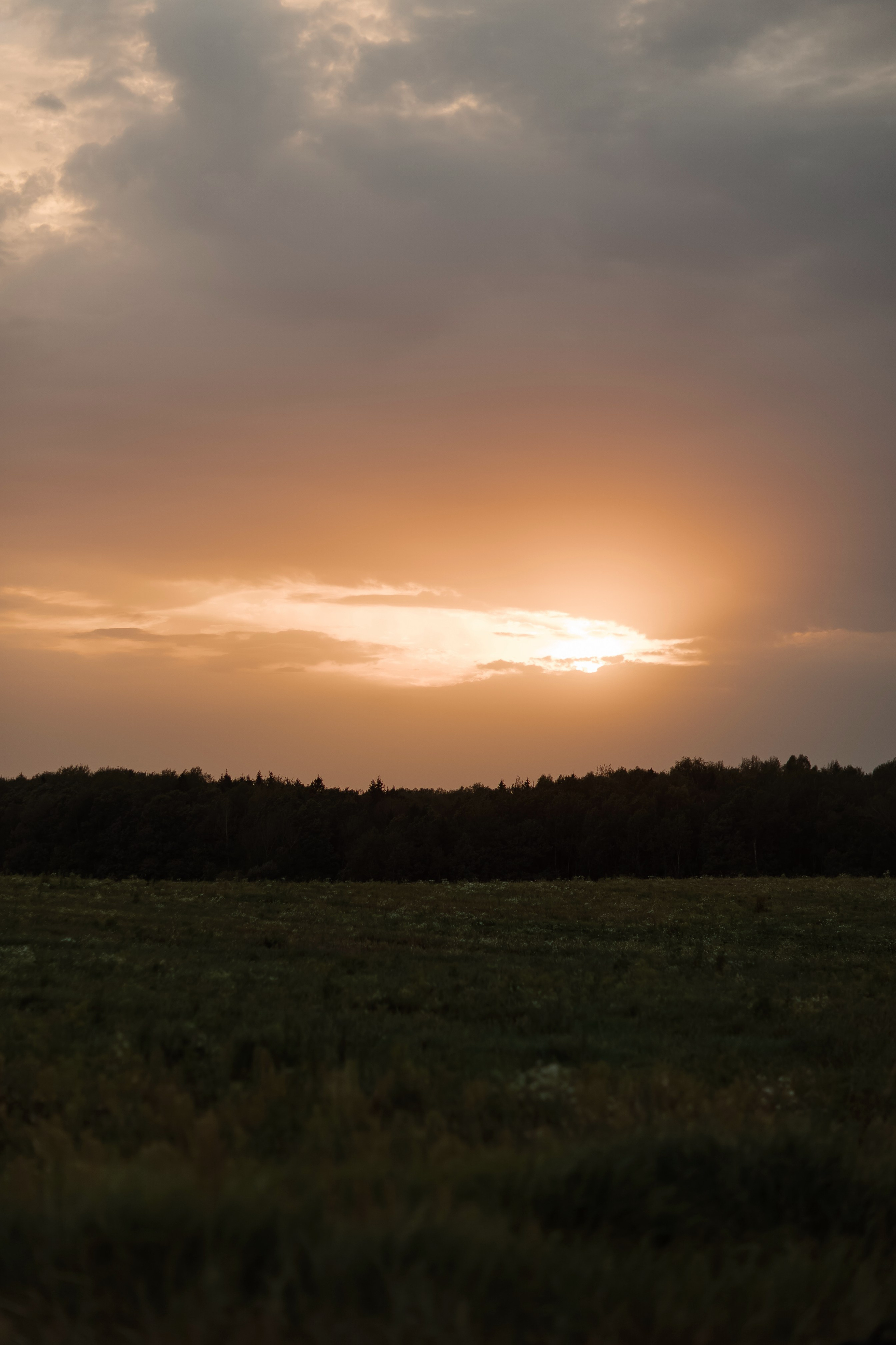Алина. Свадебный фотограф