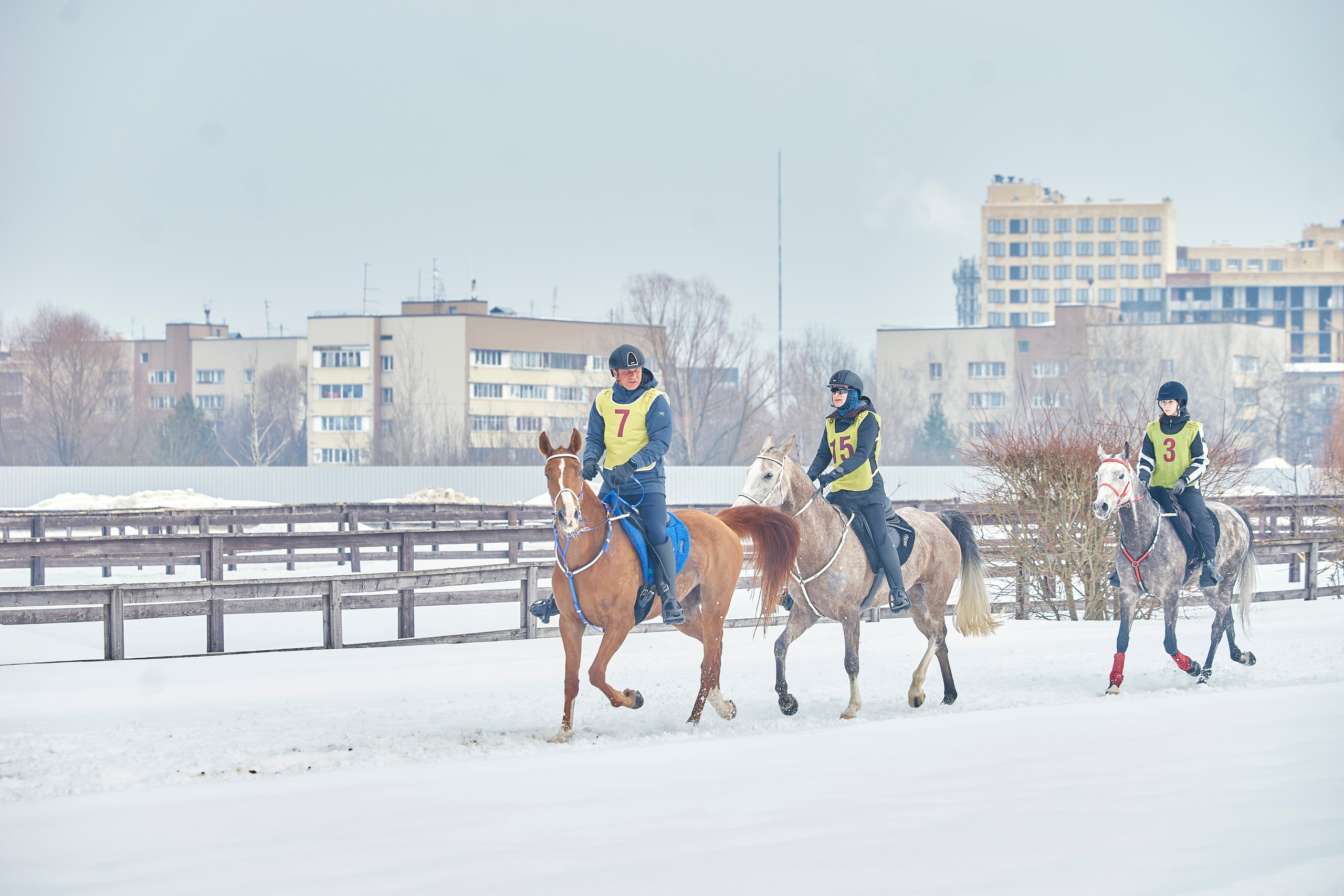 HORSE RACING. Фотограф Наталья Леонова