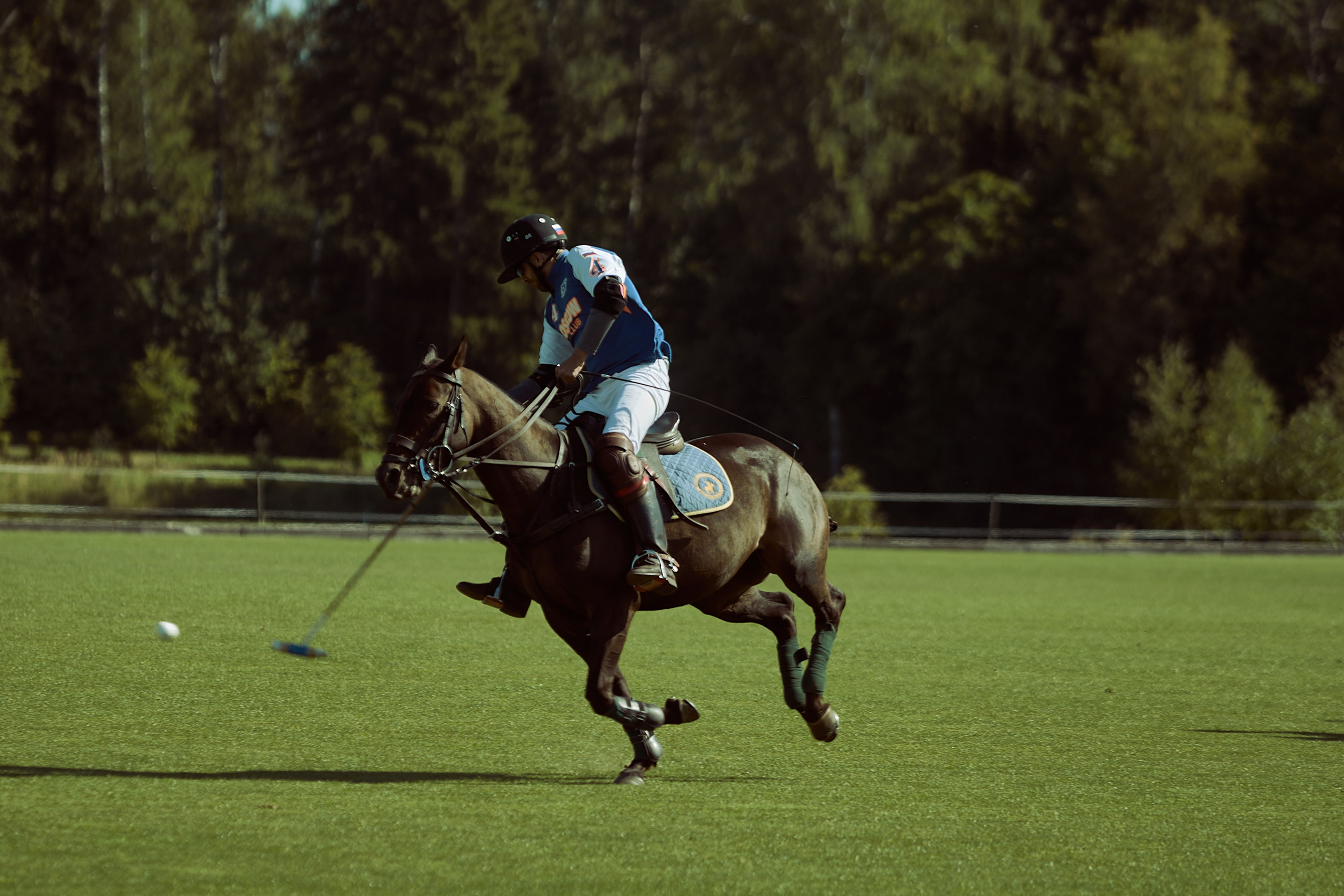 HORSE POLO. Фотограф Наталья Леонова