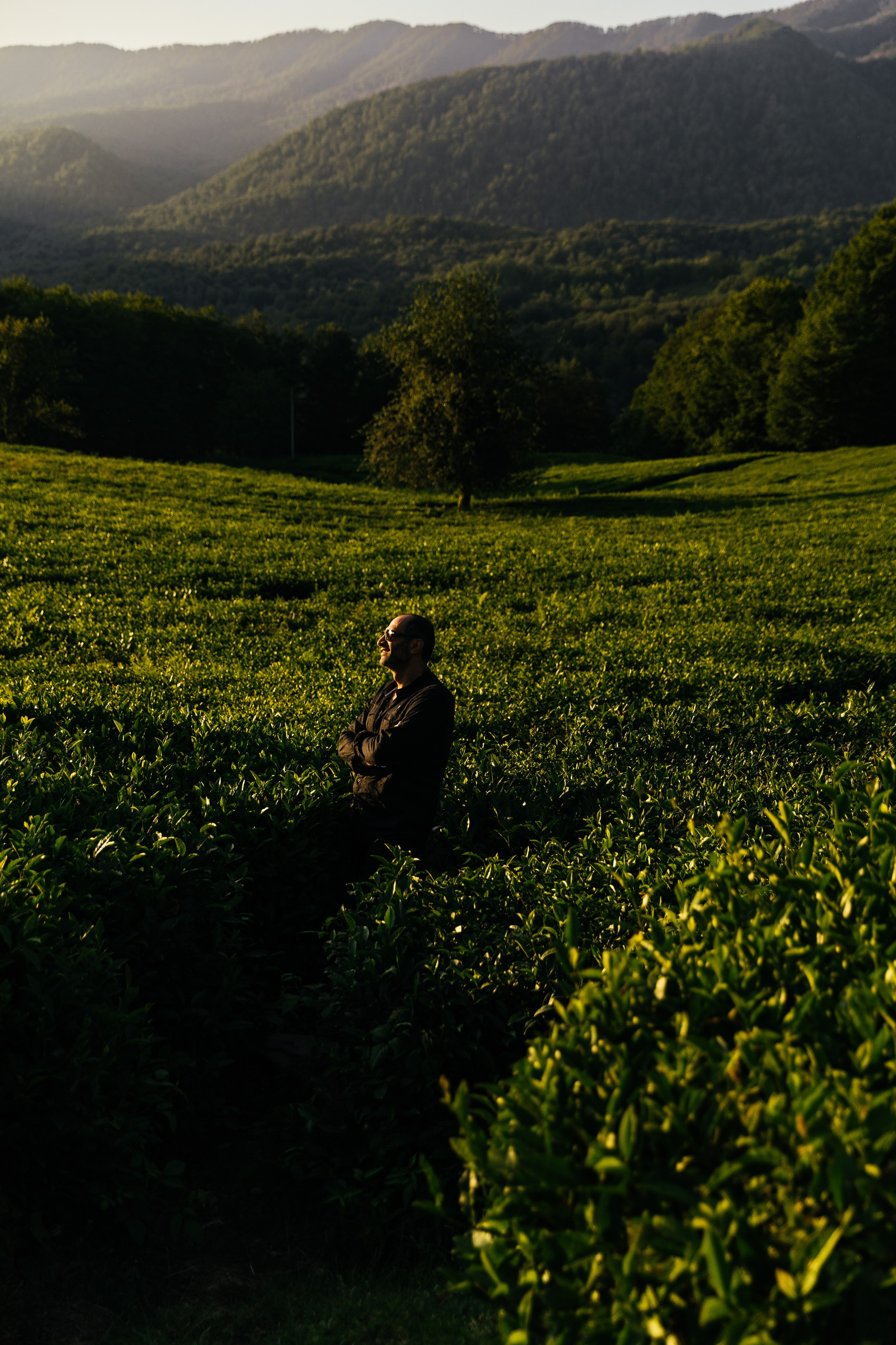 Актуальое. Мелконян Гайк г. Ростов-На-Дону фотограф