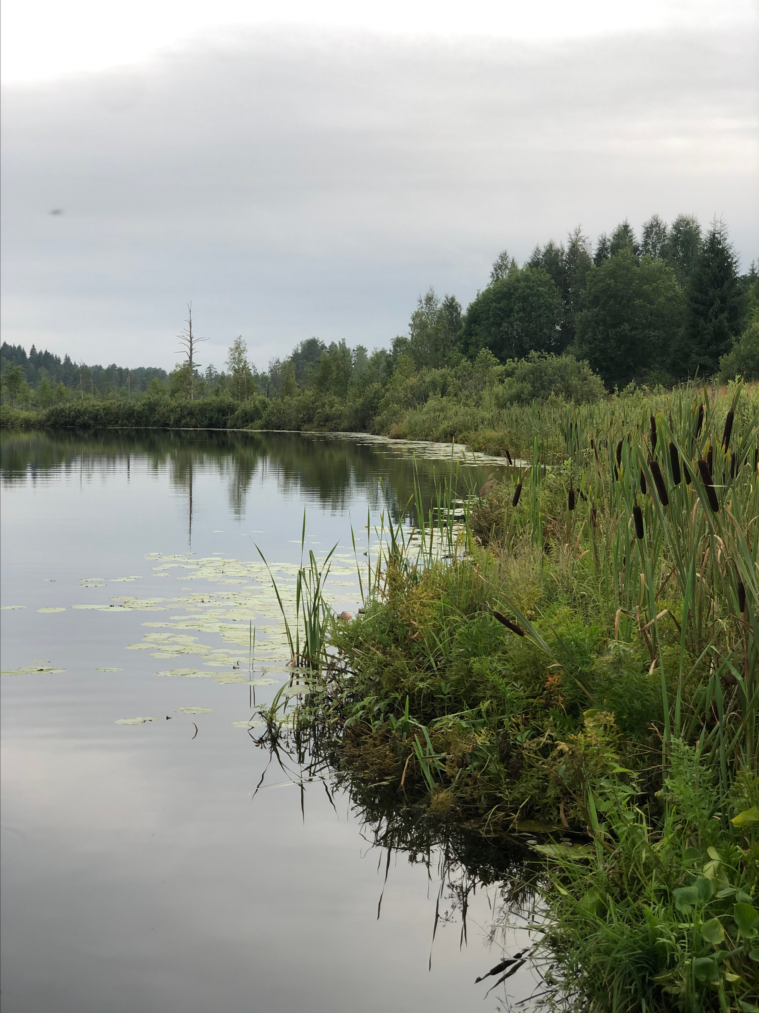 Деревенские зарисовки. Семейный LIFESTYLE фотограф в Москве