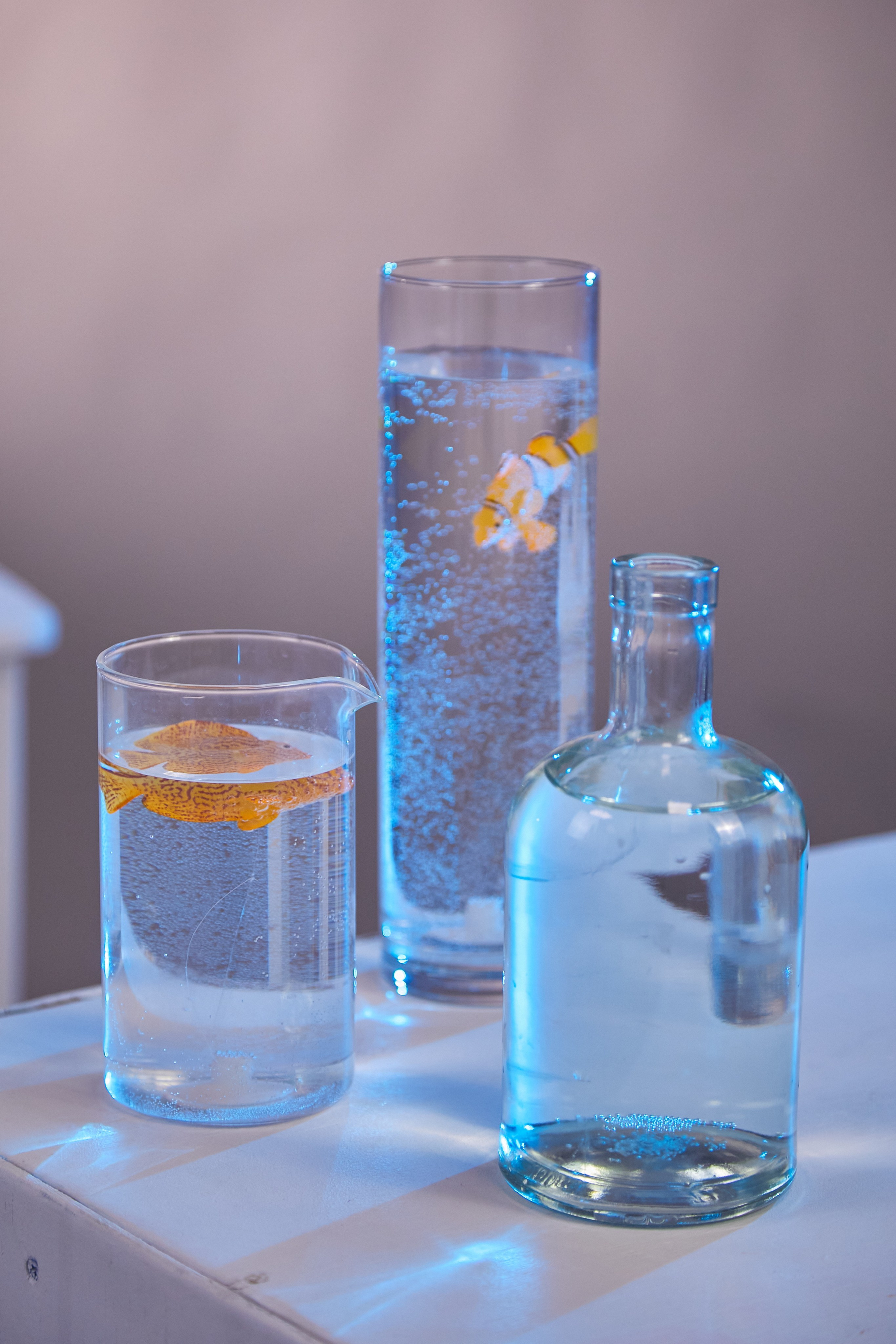 «Рыбки 2.0». Свадебный и креативный фотограф в ЮФО и МСК