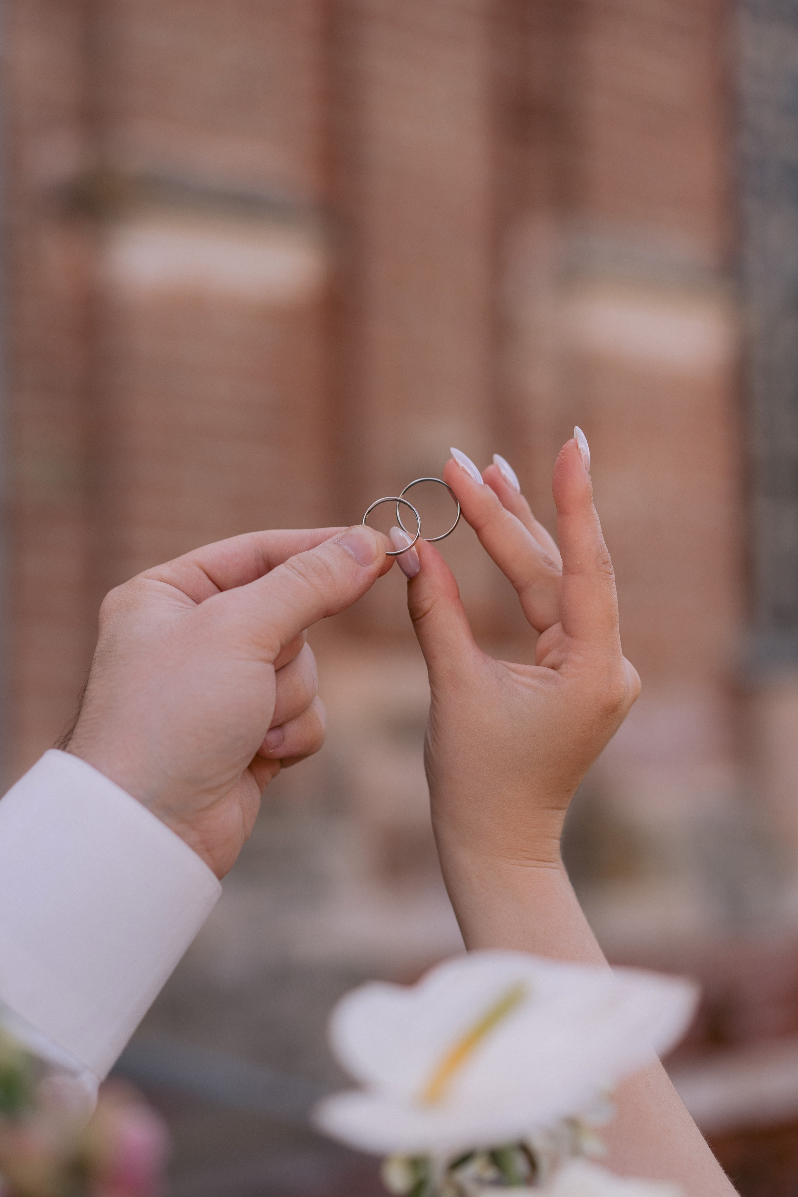 Дмитрий & Елизавета. Margosha-ph.ru