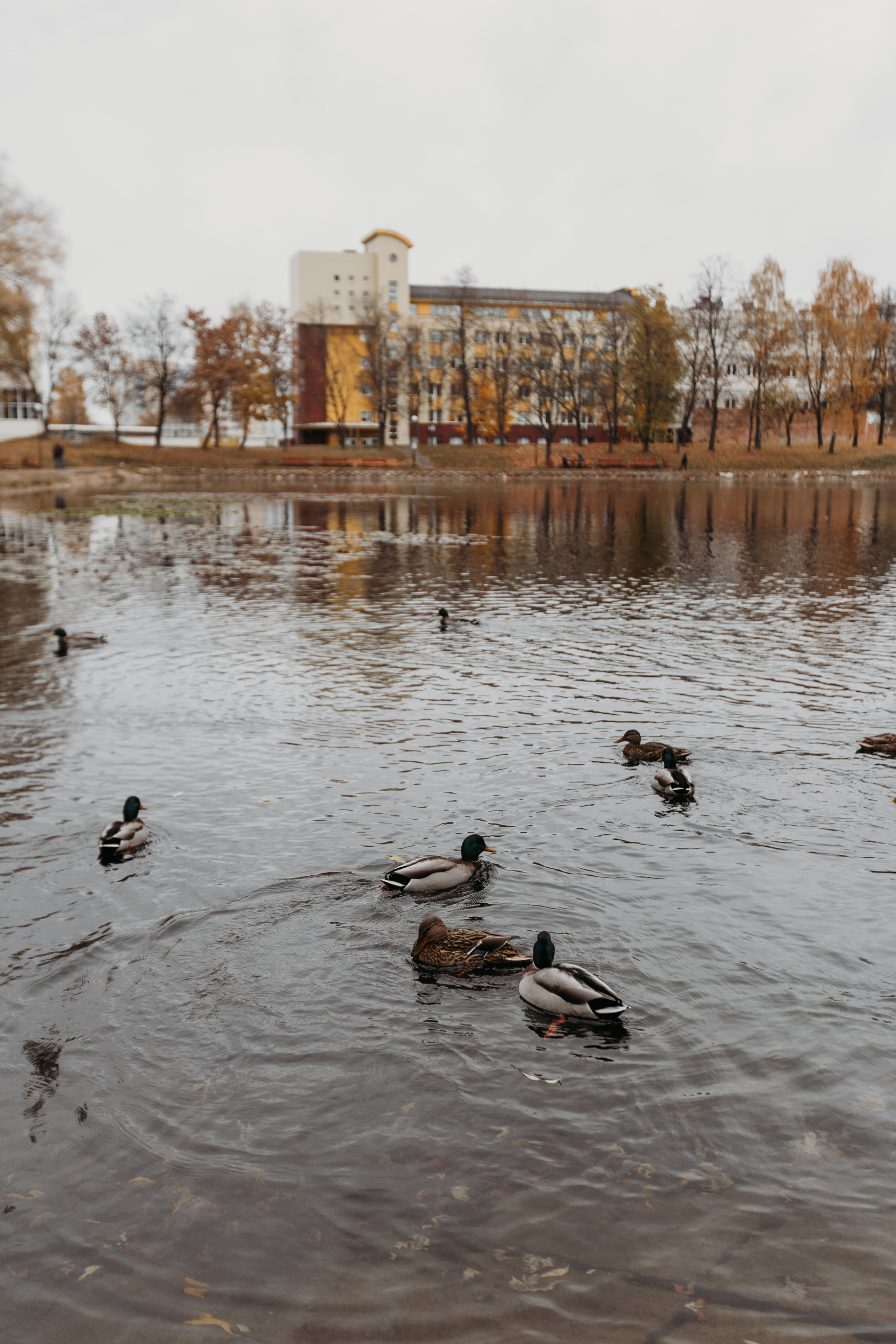 Нас уже четверо!. Свадебный семейный фотограф и видеограф Гомель Минск Беларусь Европа