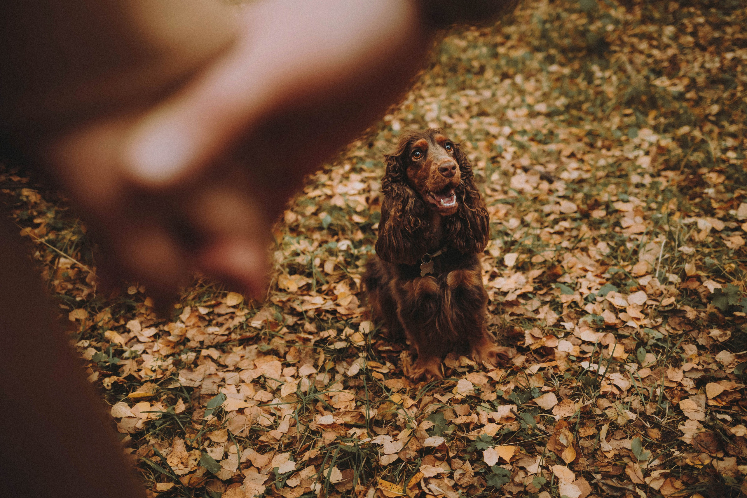 Настя, Саша и Эстер