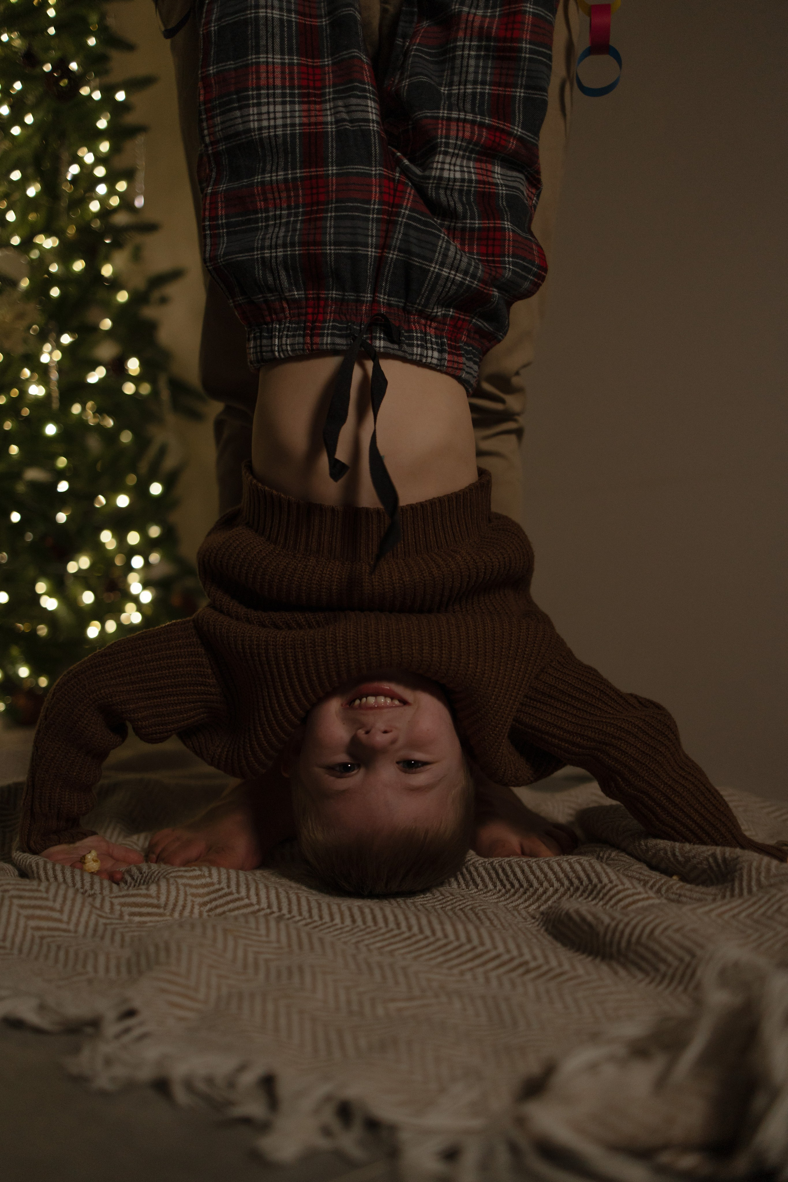 H O M E. Дарья Скворцова