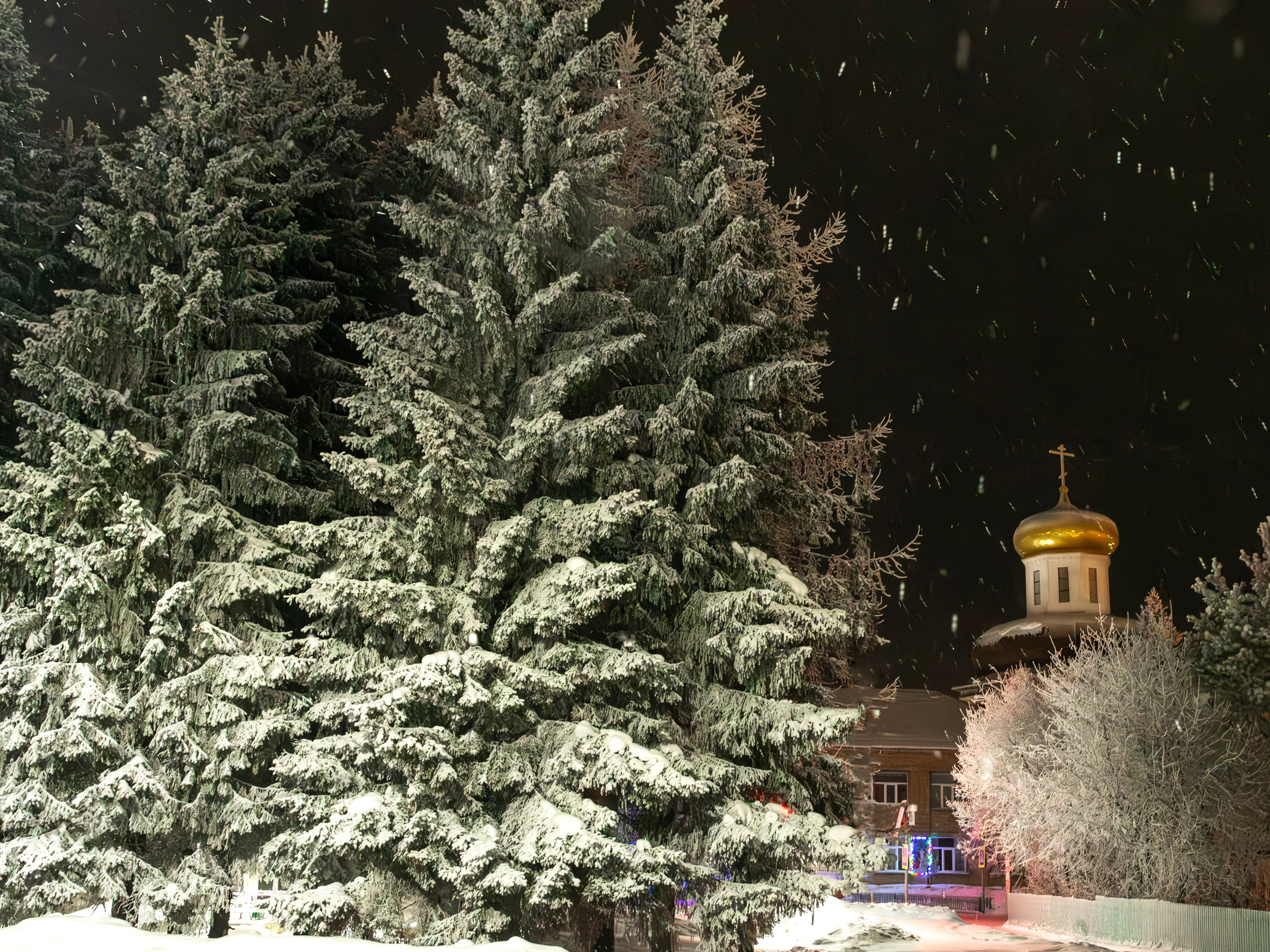 Деревенские зарисовки. Фотограф в с. Ижма Республика Коми Терентьев Сергей
