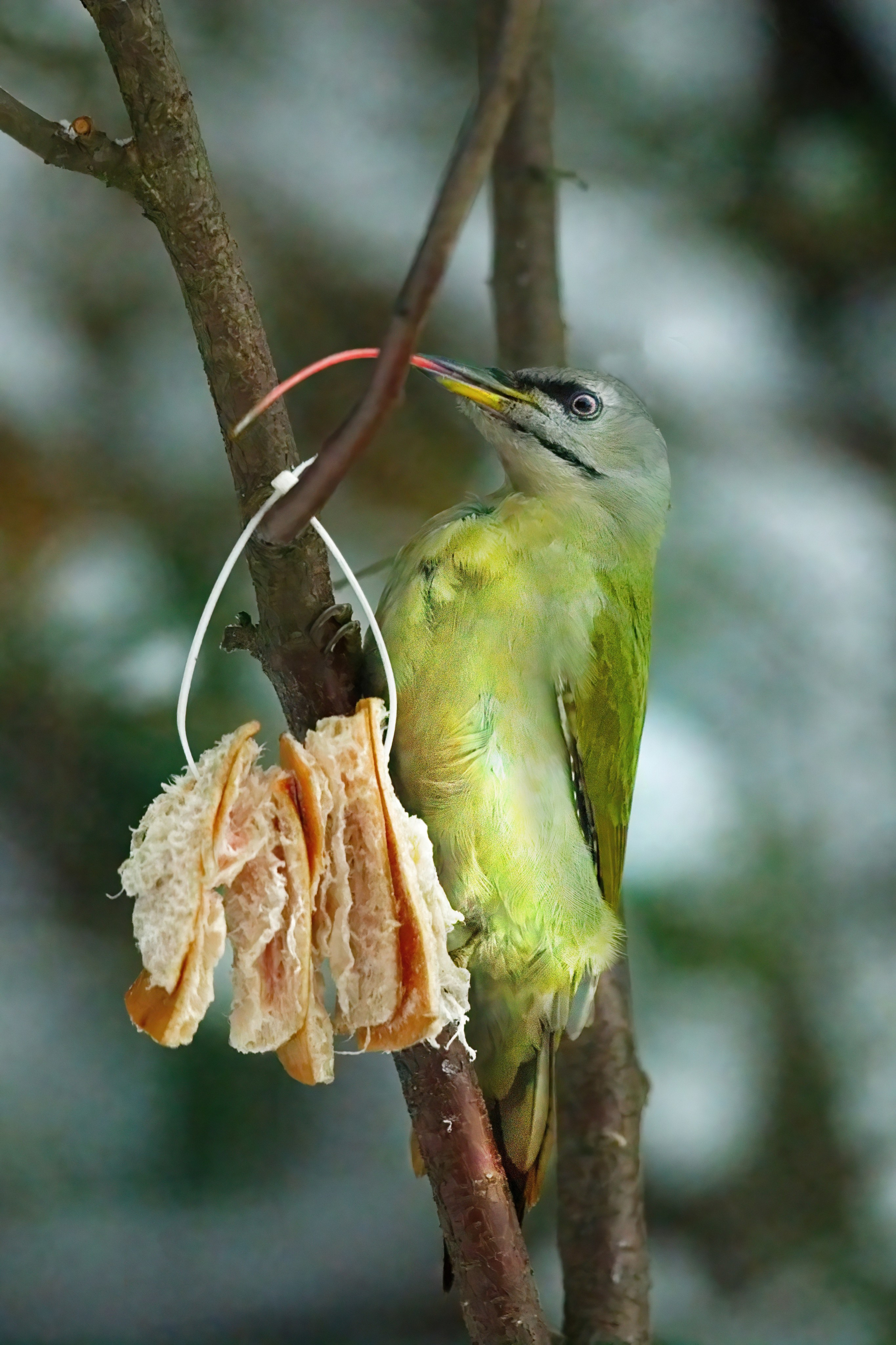 ПРИРОДА. Слепки времени. Фотографии природы и событий. Москва. Сергей Аллагулов