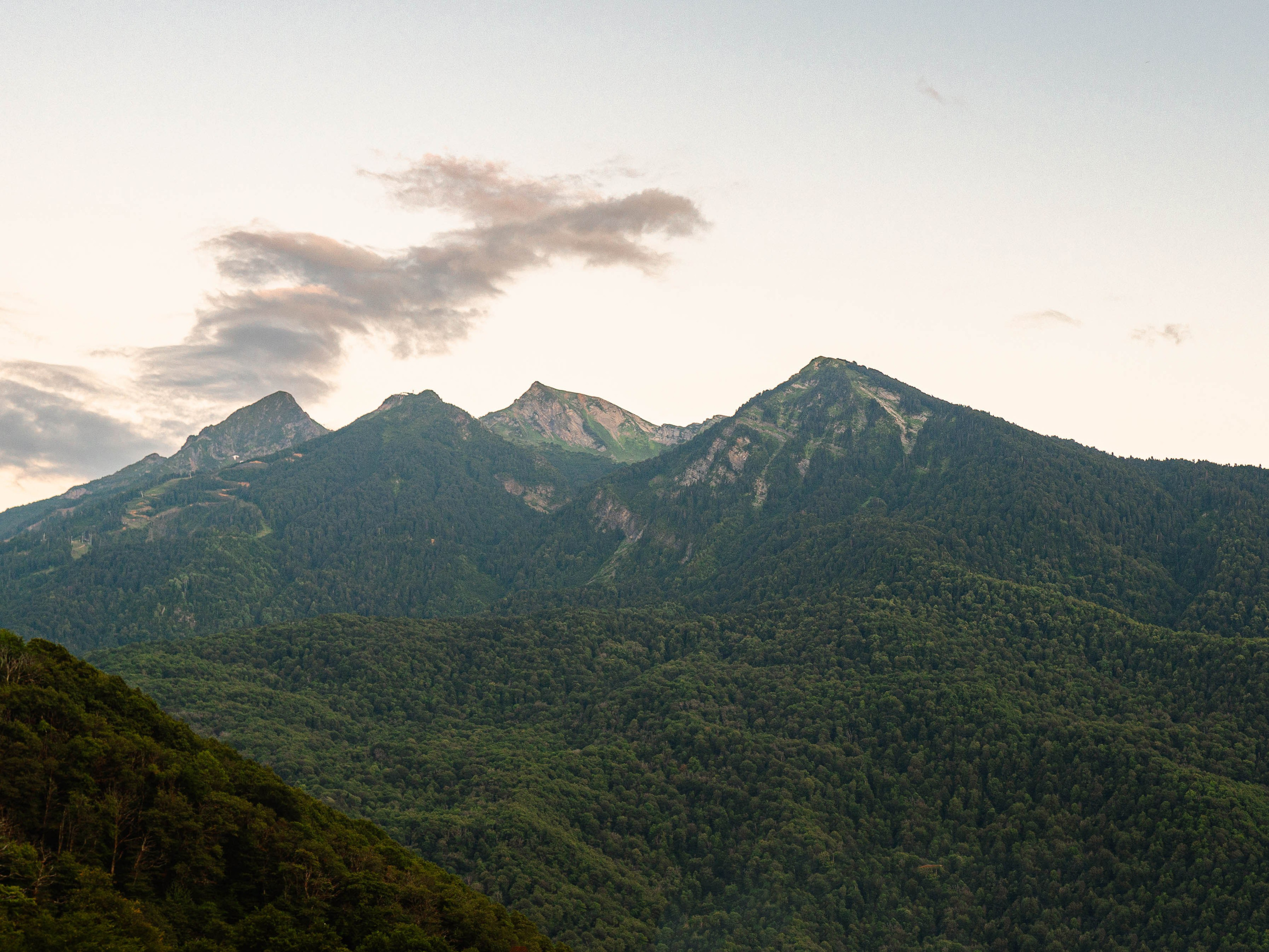 Предложение руки и сердца. Фотограф в Сочи