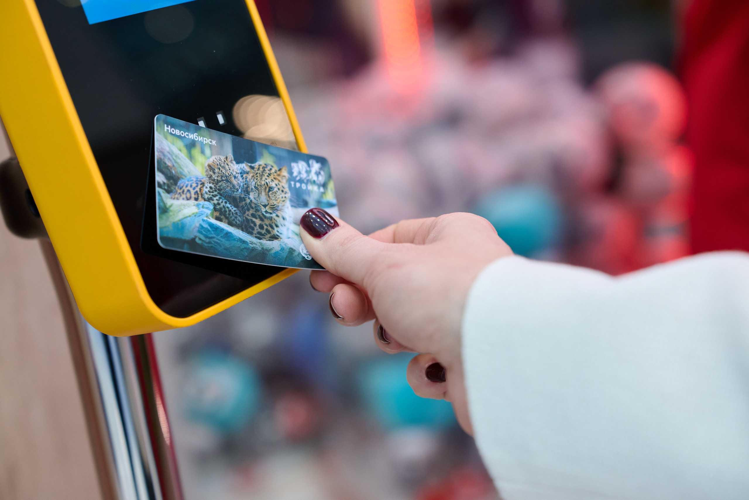 19 Международный форум и выставка Транспорт России. Сергей Богомолов. Свадебный и семейный фотограф