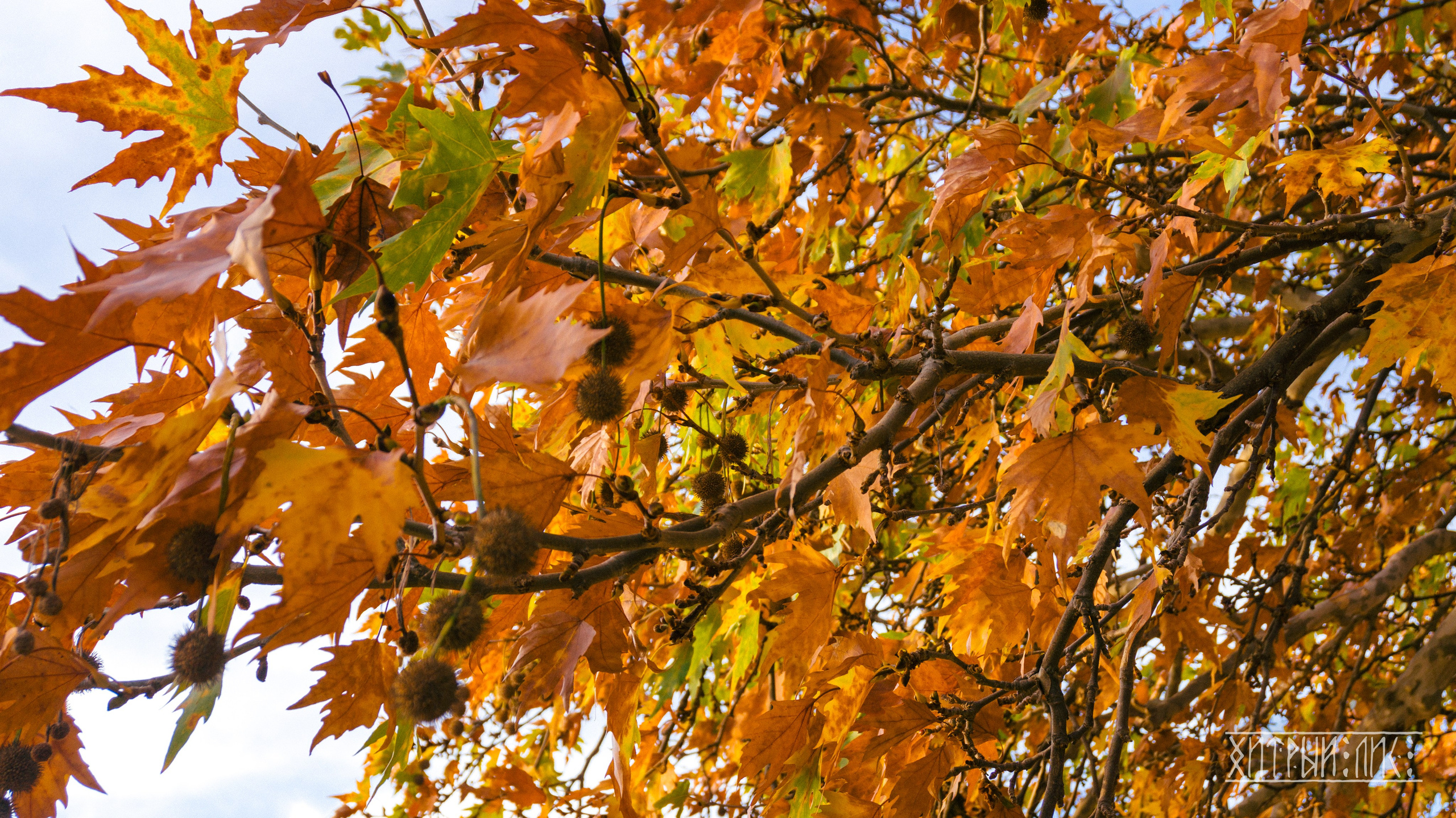 Турция. Ликийский путь. Фотограф-путешественник Самойлов Максим «Sly Fox»