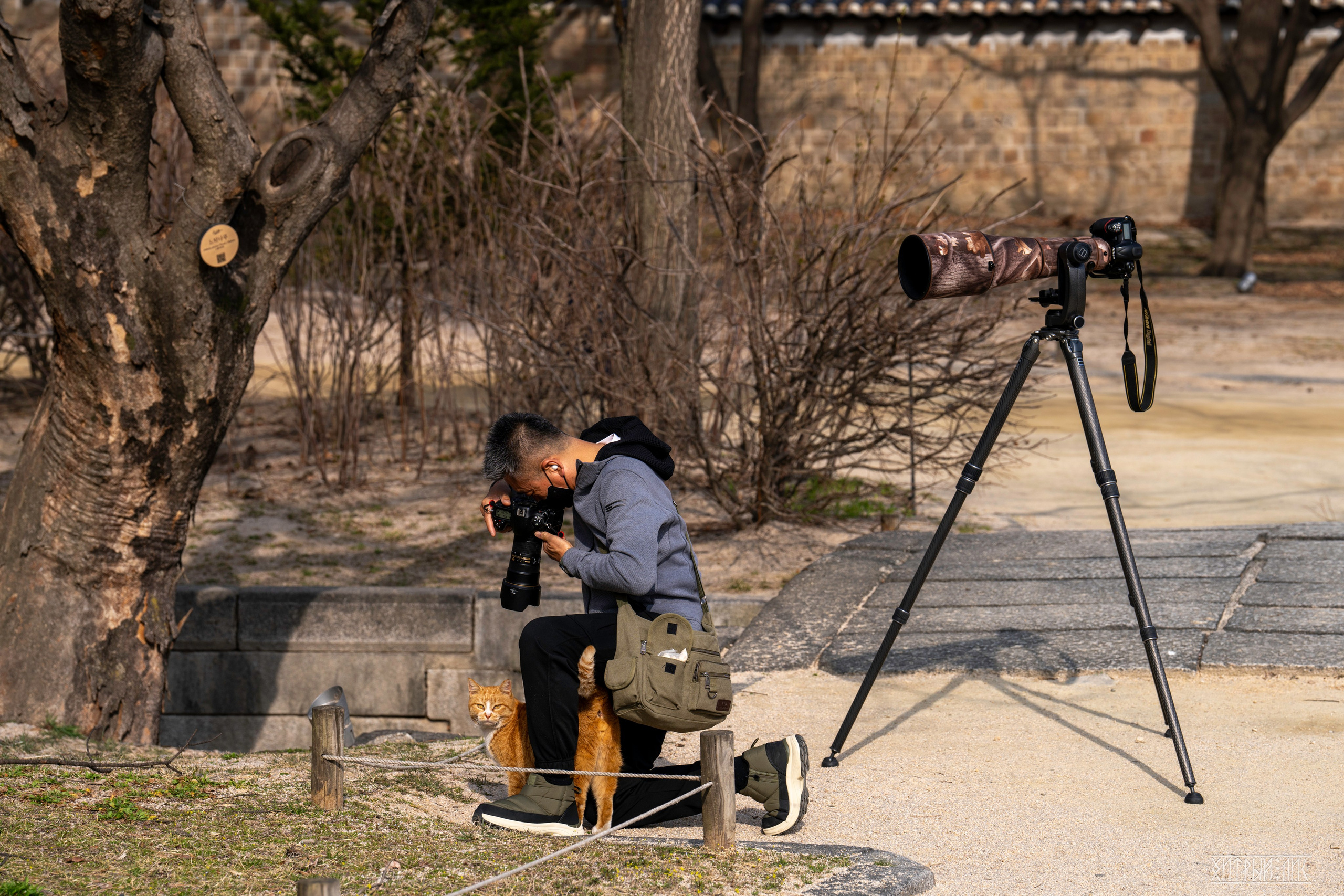 Южная Корея. Фотограф-путешественник Самойлов Максим «Sly Fox»