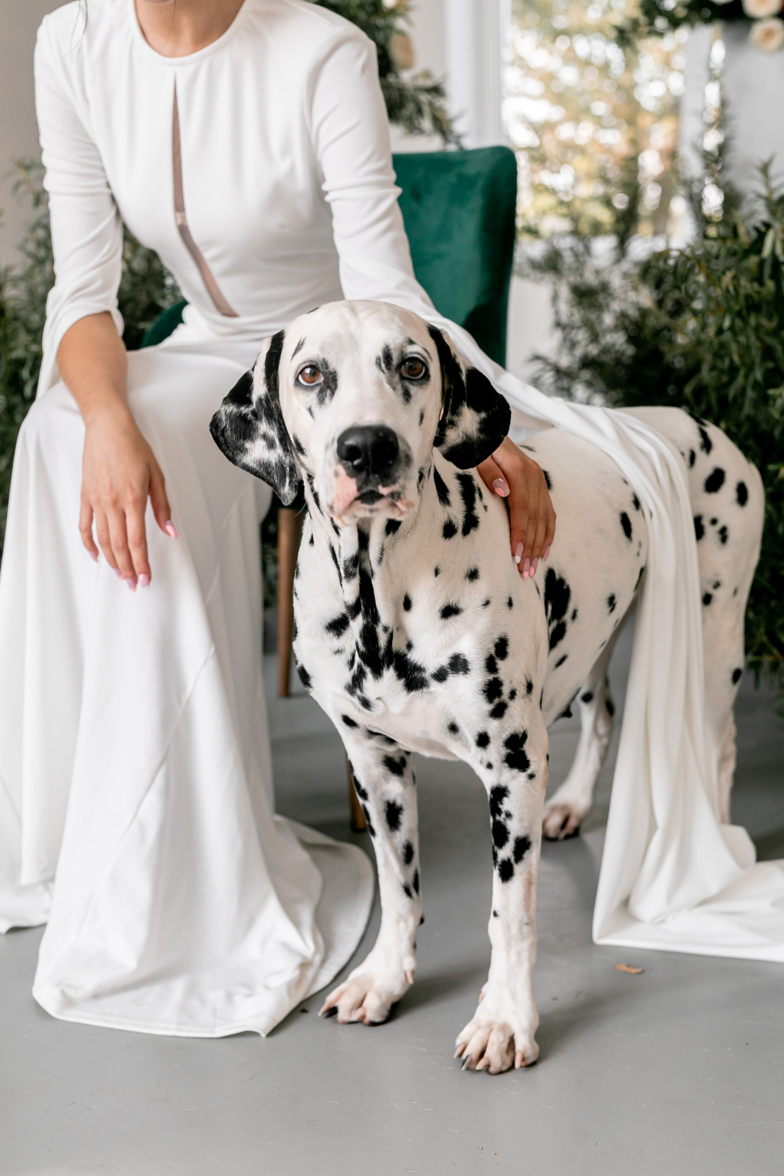 Ростислав и Виктория. Лада Канана Свадебный и семейный фотограф