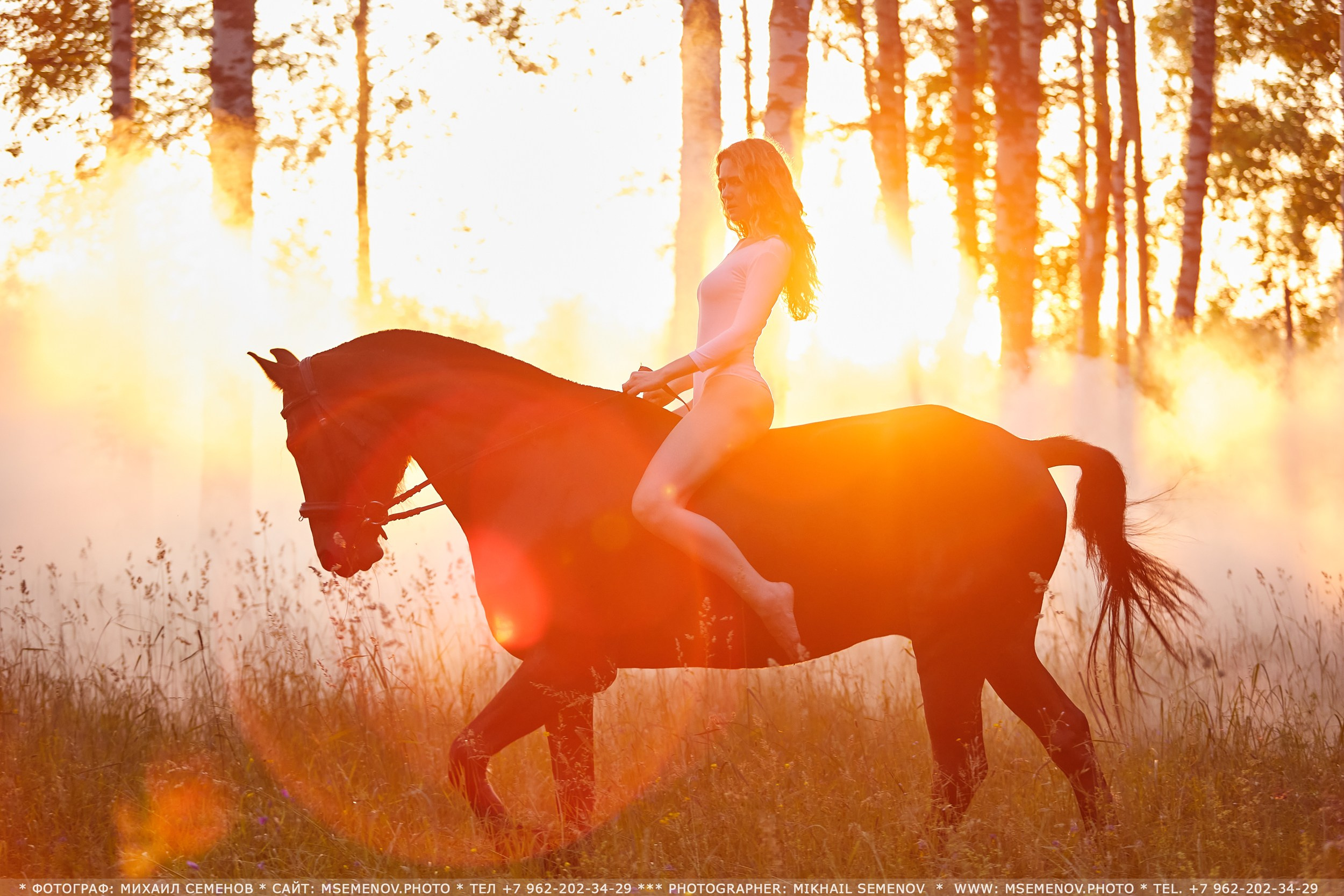 Фотосессия с лошадьми в г. Ярославль. Фотограф Михаил Семенов
