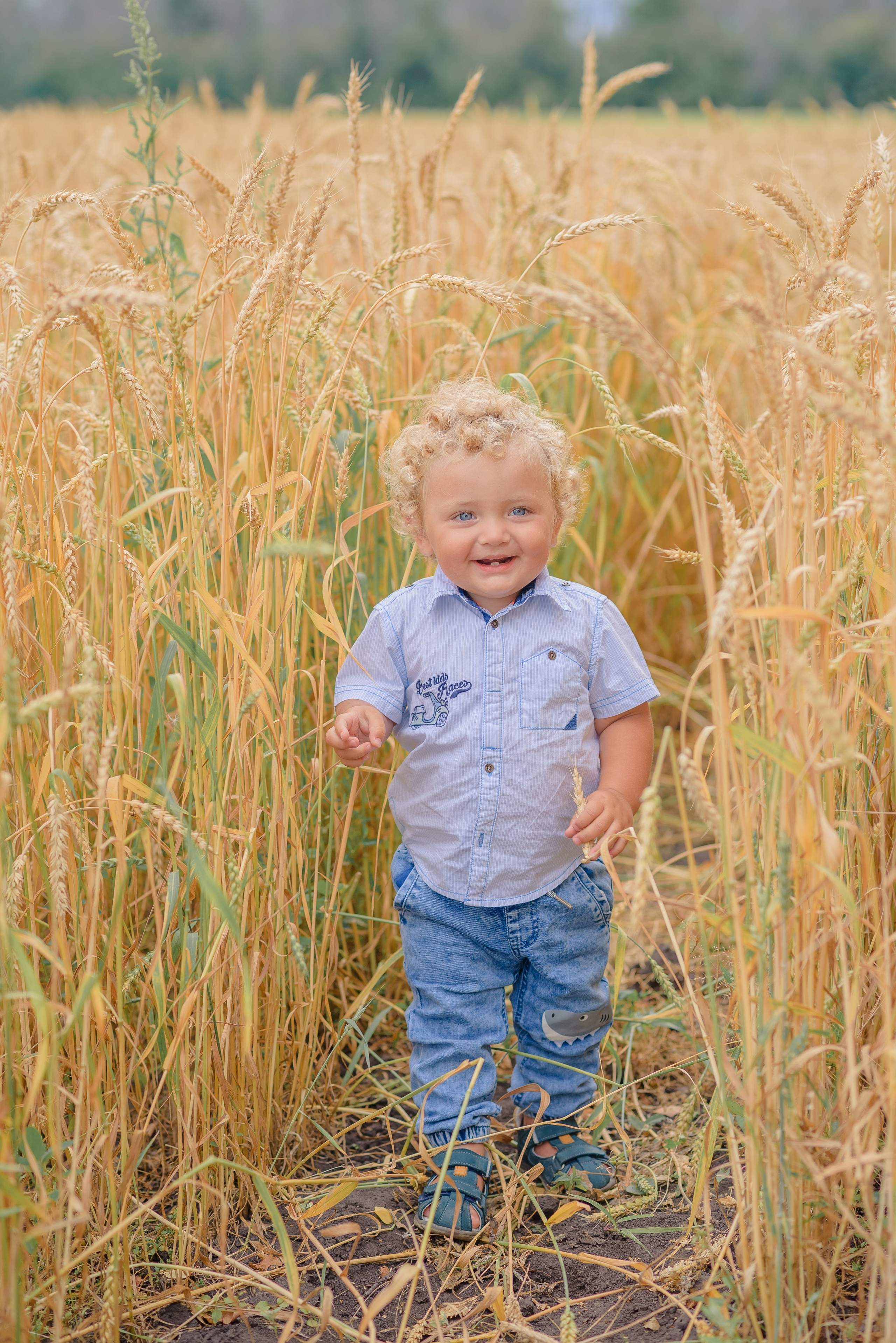 Пикник. Семейный фотограф в Рязани Мария Ермакова