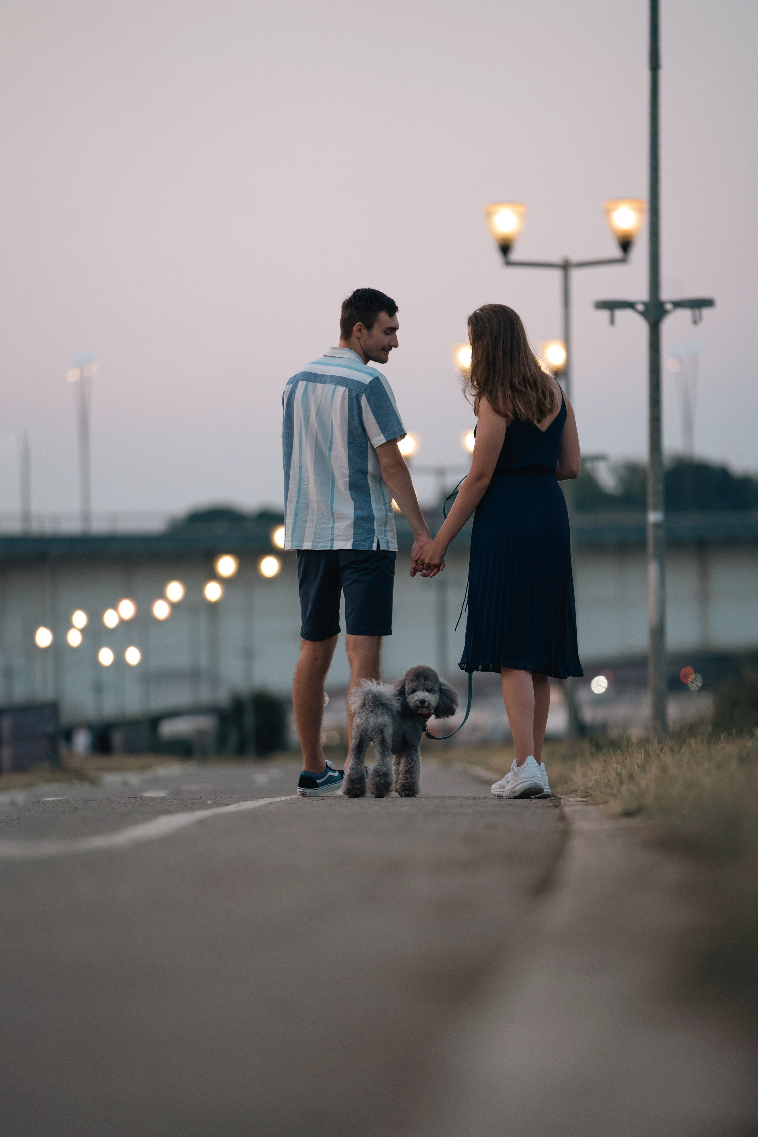 В Белграде на набережной. Фотограф анималист