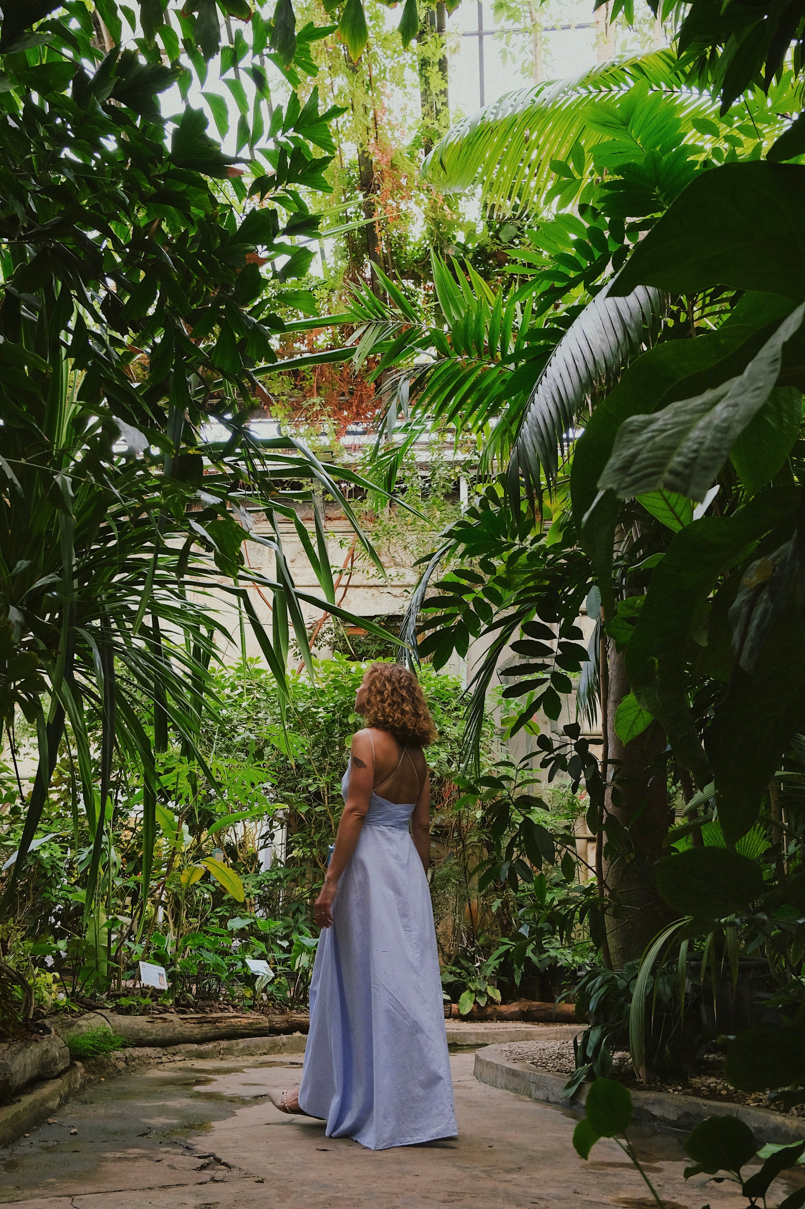 Лица. Татьян гертье