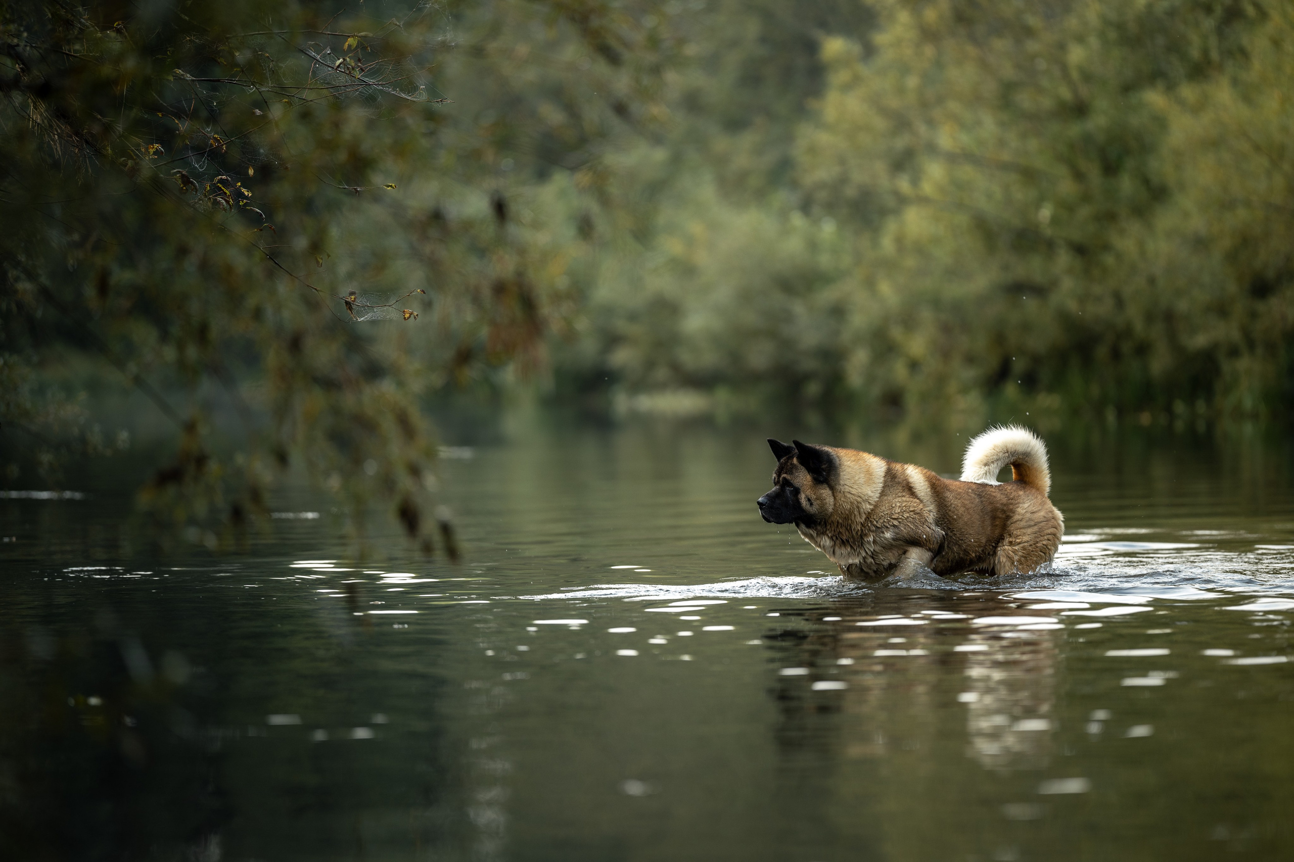 Природные пейзажи. Наталия Клевинскас портретный фотограф в Костроме