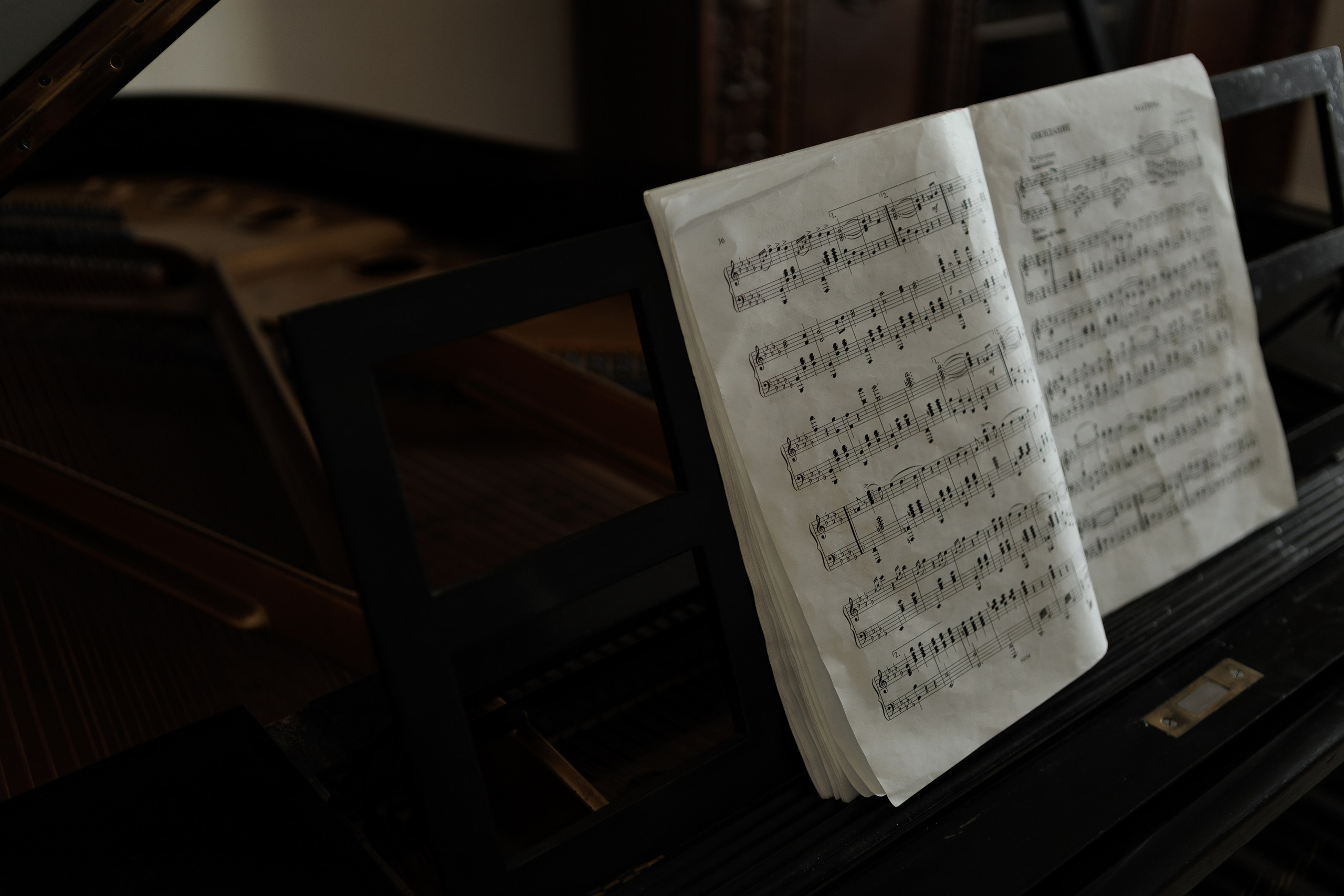 Максим и Анастасия. Фотограф в Москве Таша Логинова