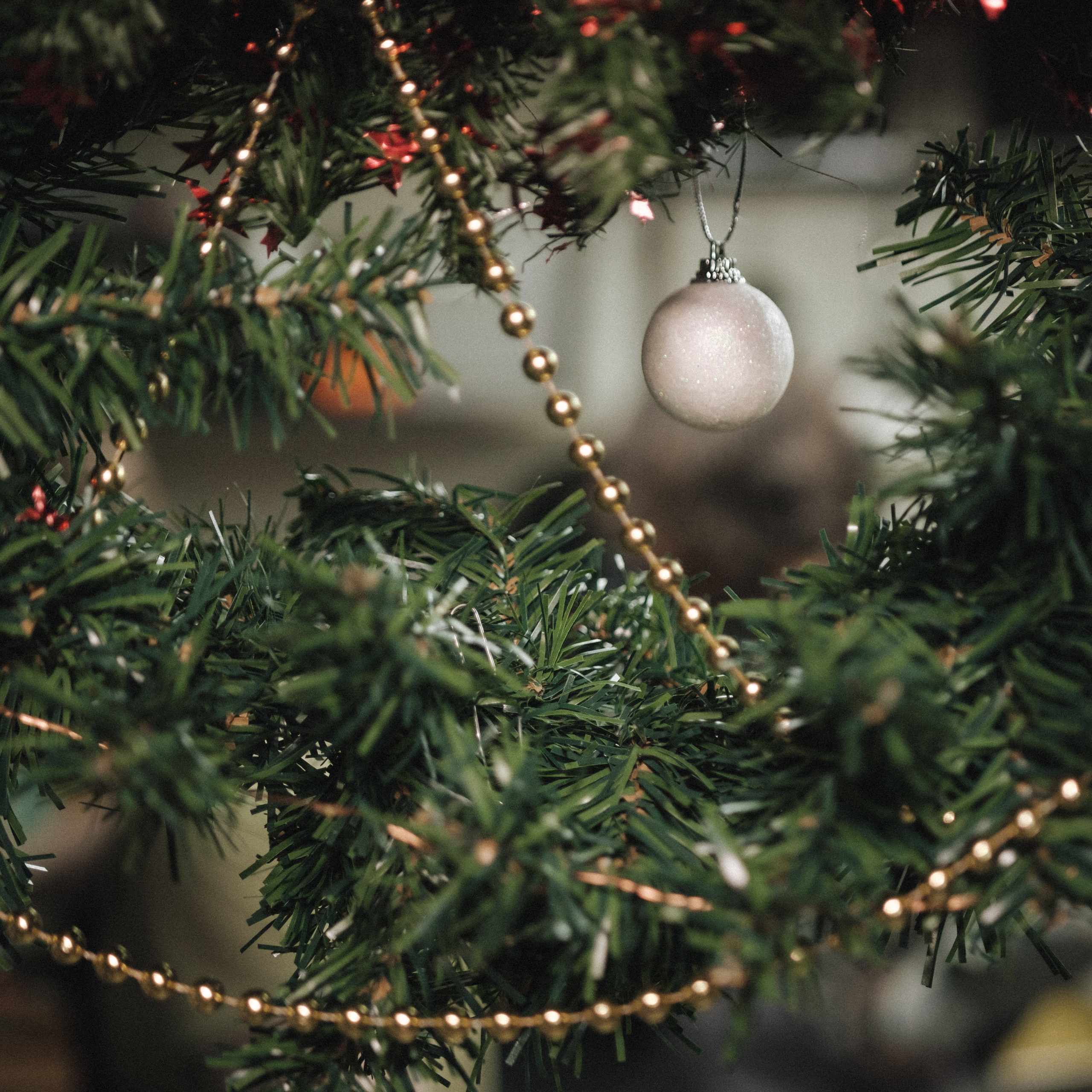 Снова готовка для кормления бездомных. Фотограф в Москве Максим Скоробогатов