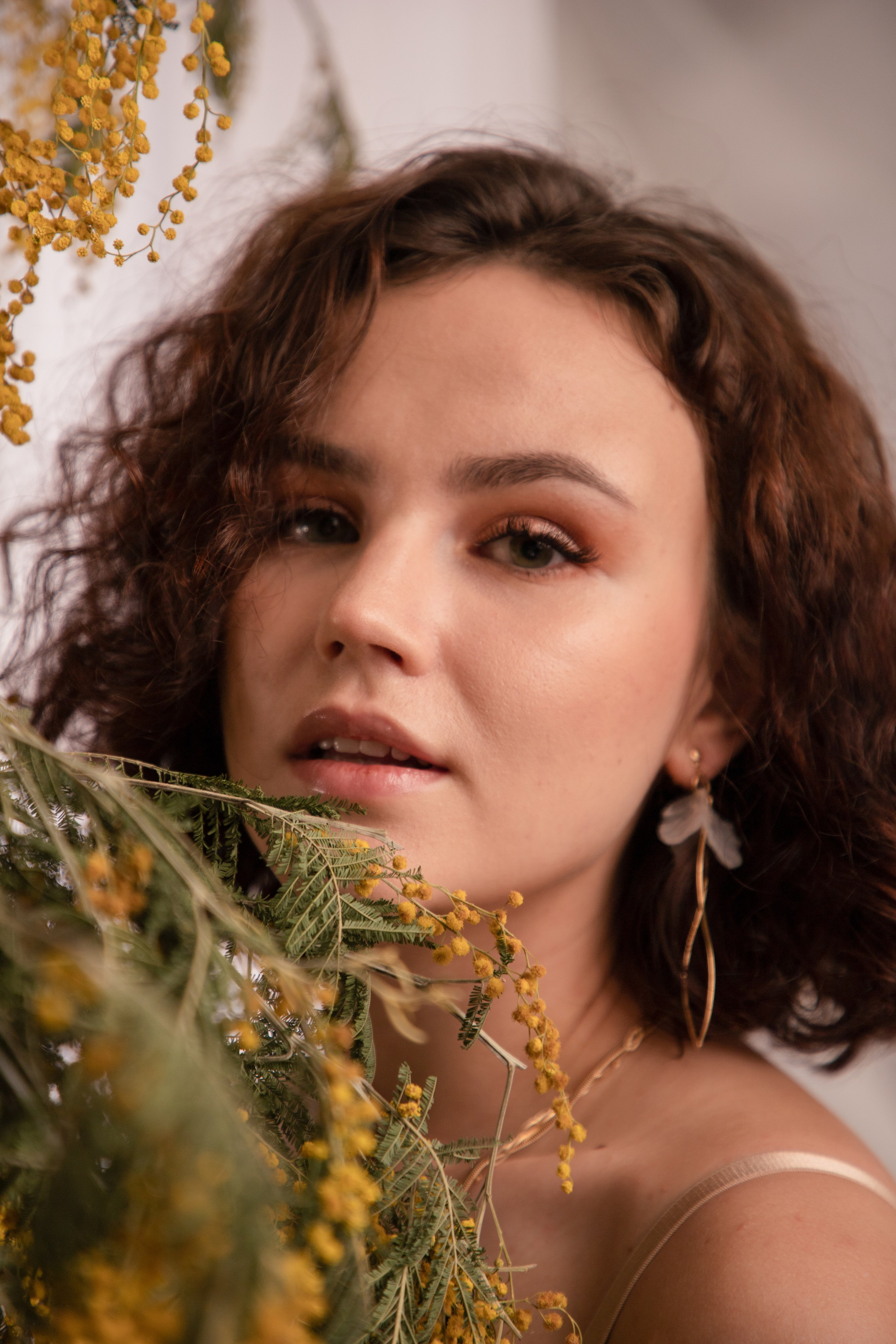 Мимозы. Фотограф Алексей Шуля — портфолио