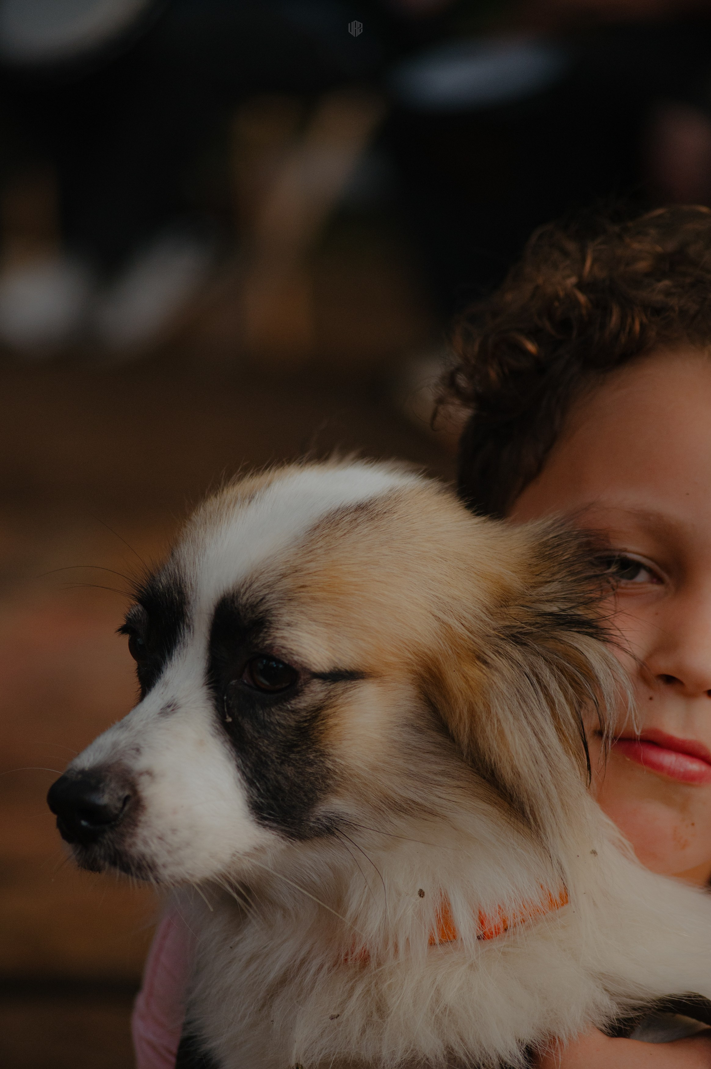 METADREAMS 2024. Контент фотограф Илья Урс