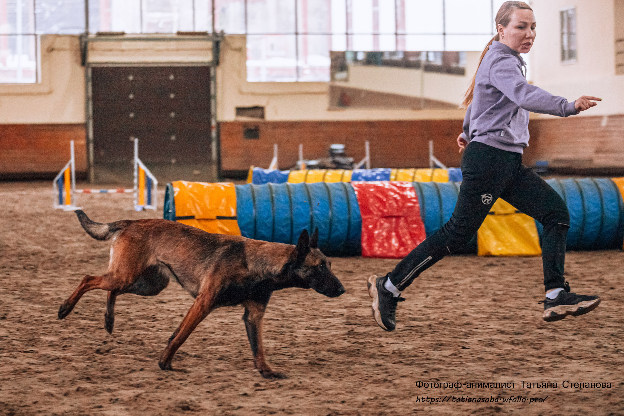 Соревнования по Аджилити 25.02.2024. Фотограф-анималист Татьяна Степанова