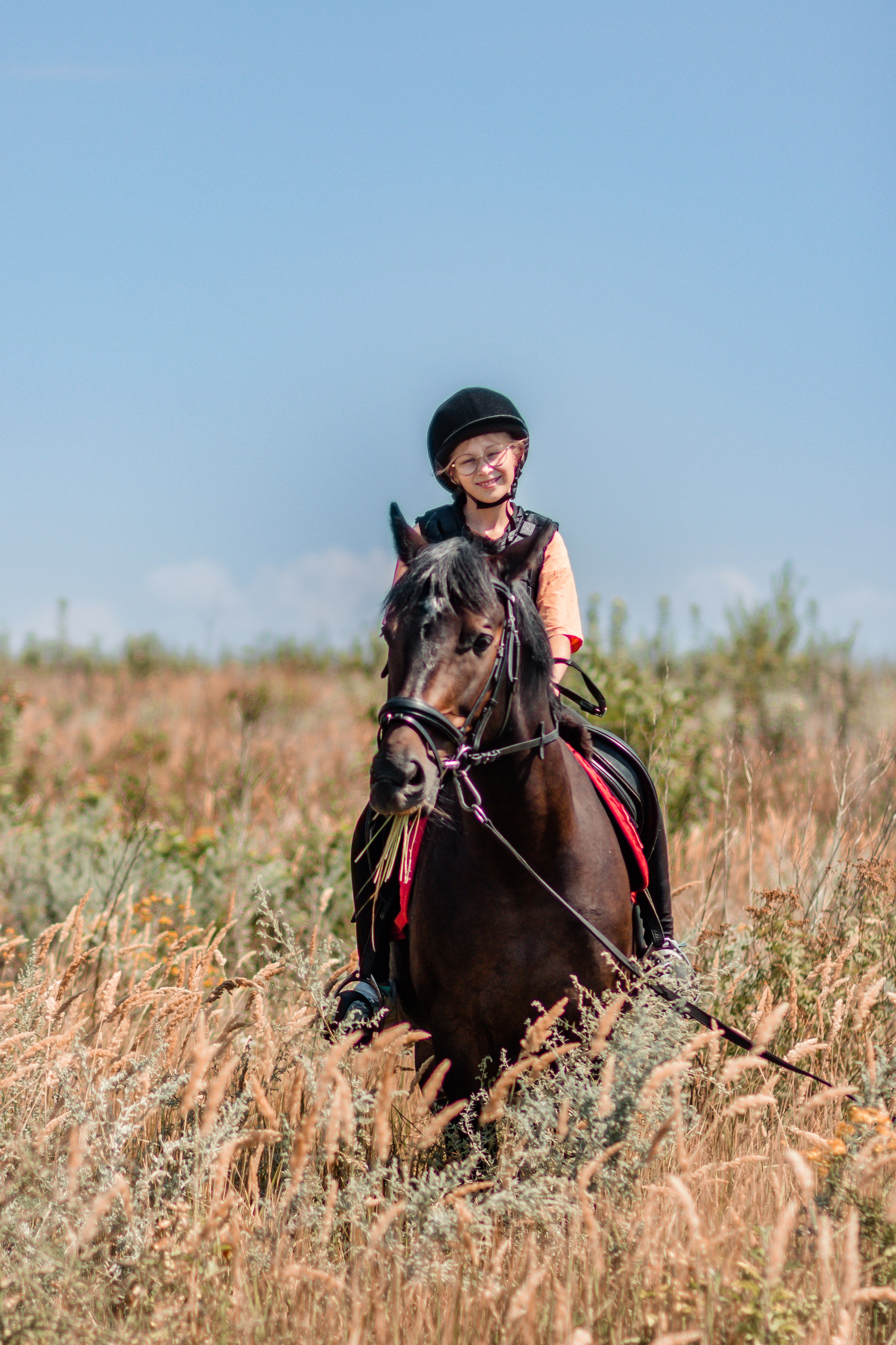 Выезды в поля на лошади