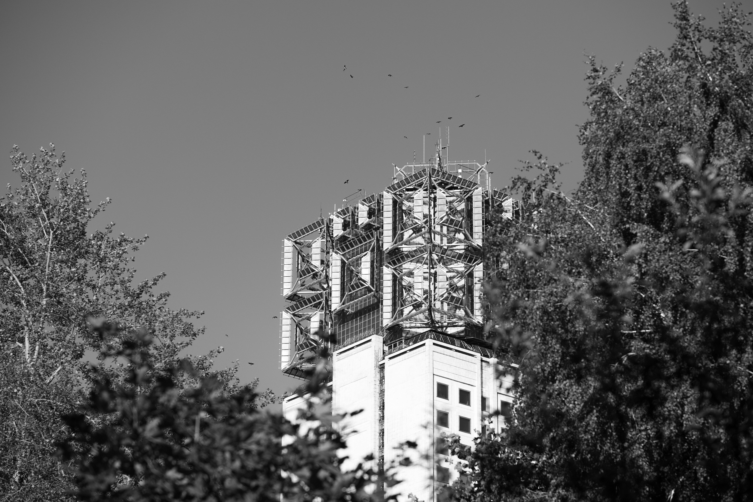 Черно-белое. KRUTOVA_фотографирую жизнь