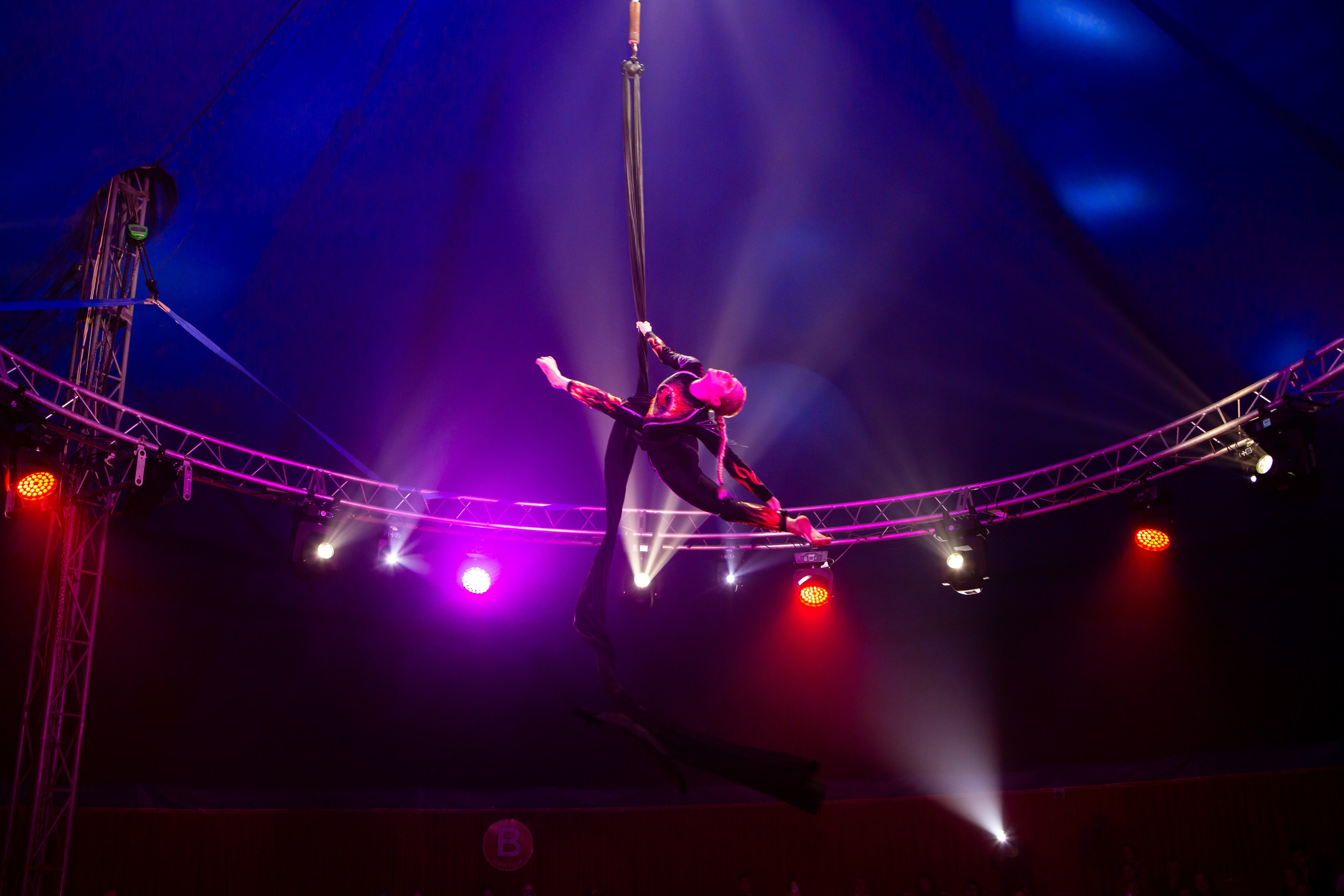 MANEGE SHOW. Репортажный, семейный, свадебный, портретный фотограф