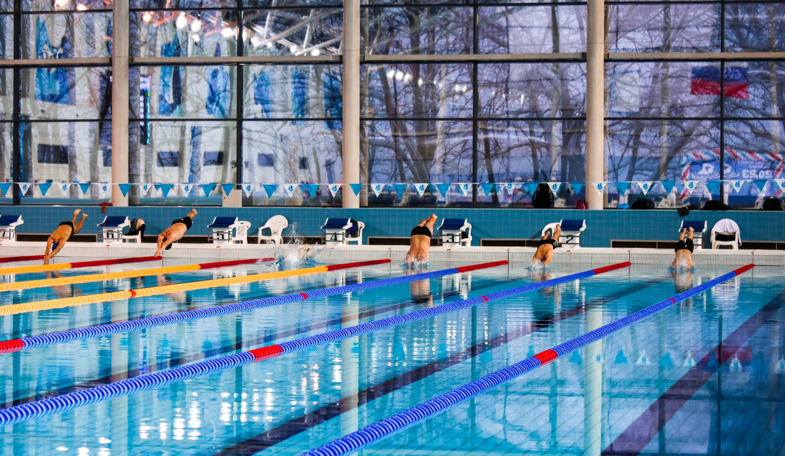 Соревнования по плаванию. Репортажный, семейный, свадебный, портретный фотограф