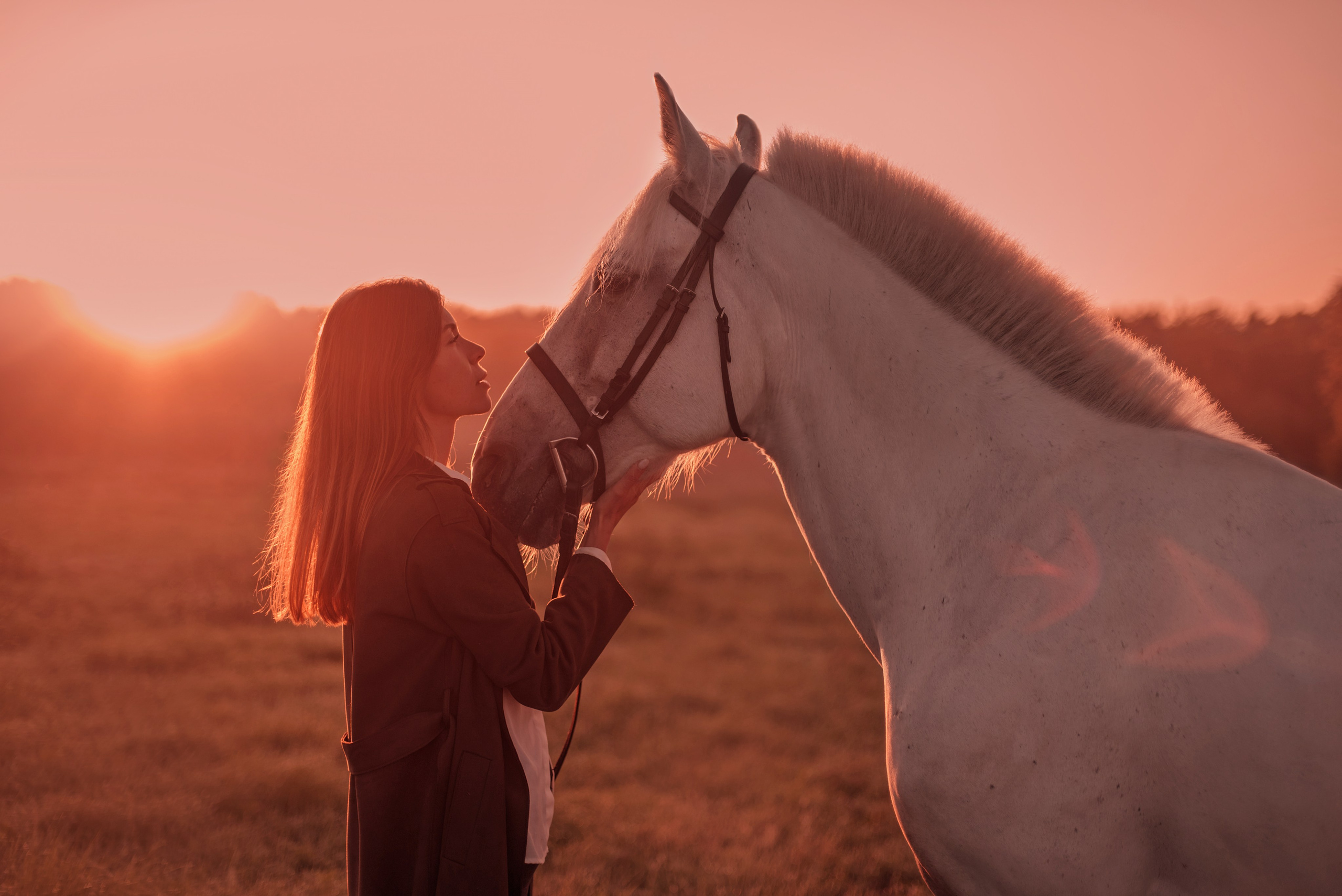 Конное: рассвет на поле с Лерой и Златой. Портфолио