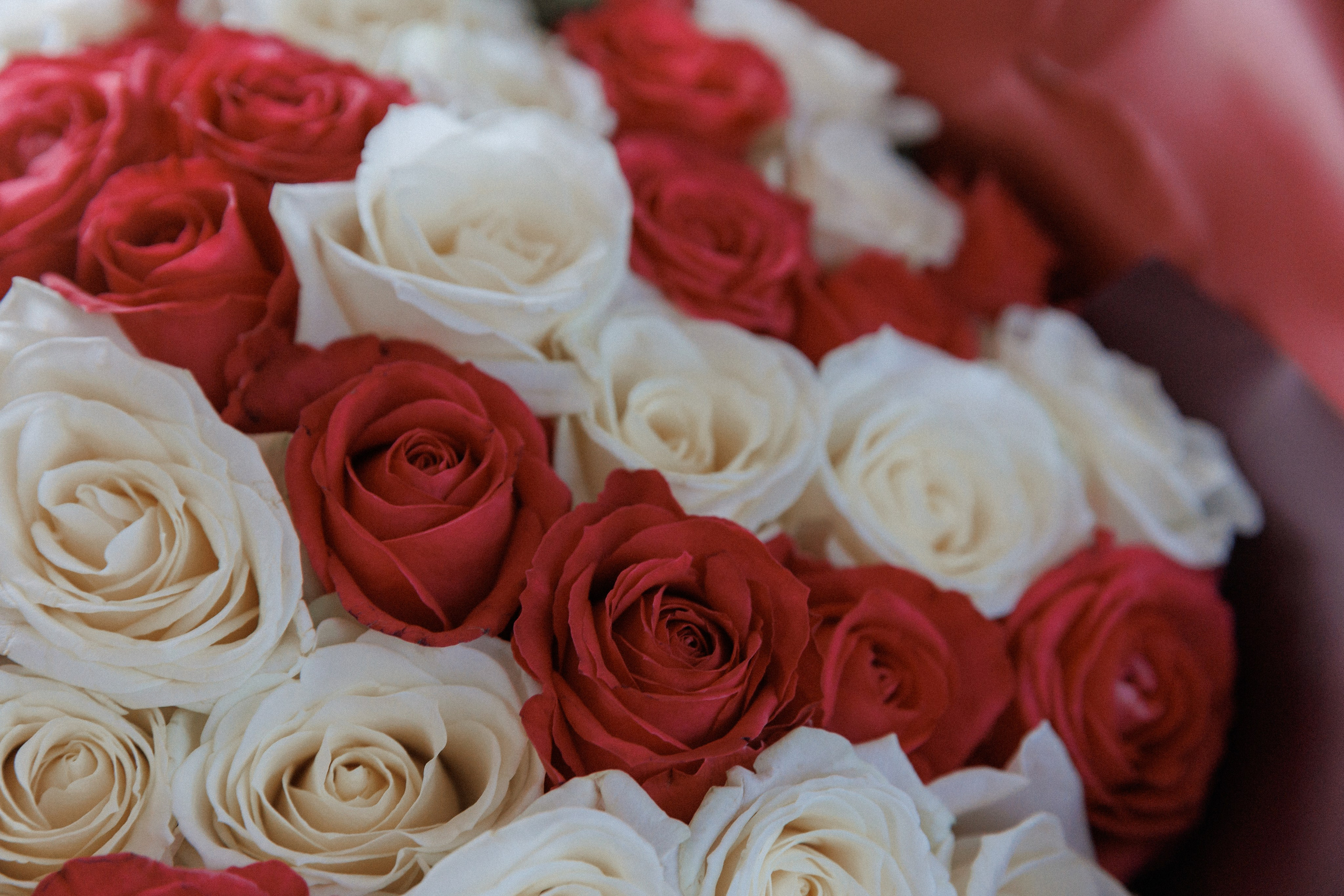 Love Story. Портретный фотограф Санкт-Петербург Москва Андронова Юлия