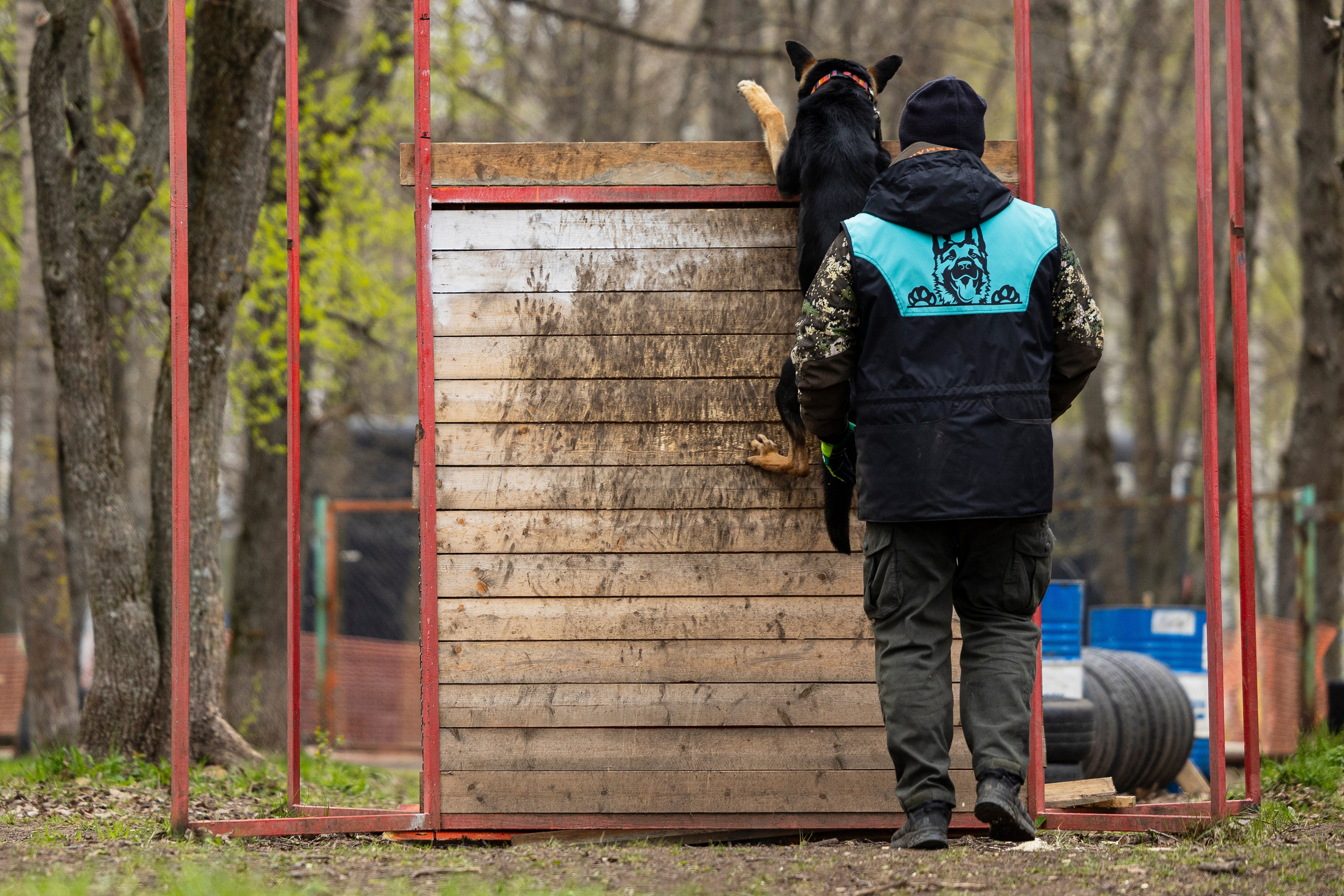 Квалификационные состязания по мондьорингу г. Вологда 11.05.24. Фотограф-анималист Анна Маринич