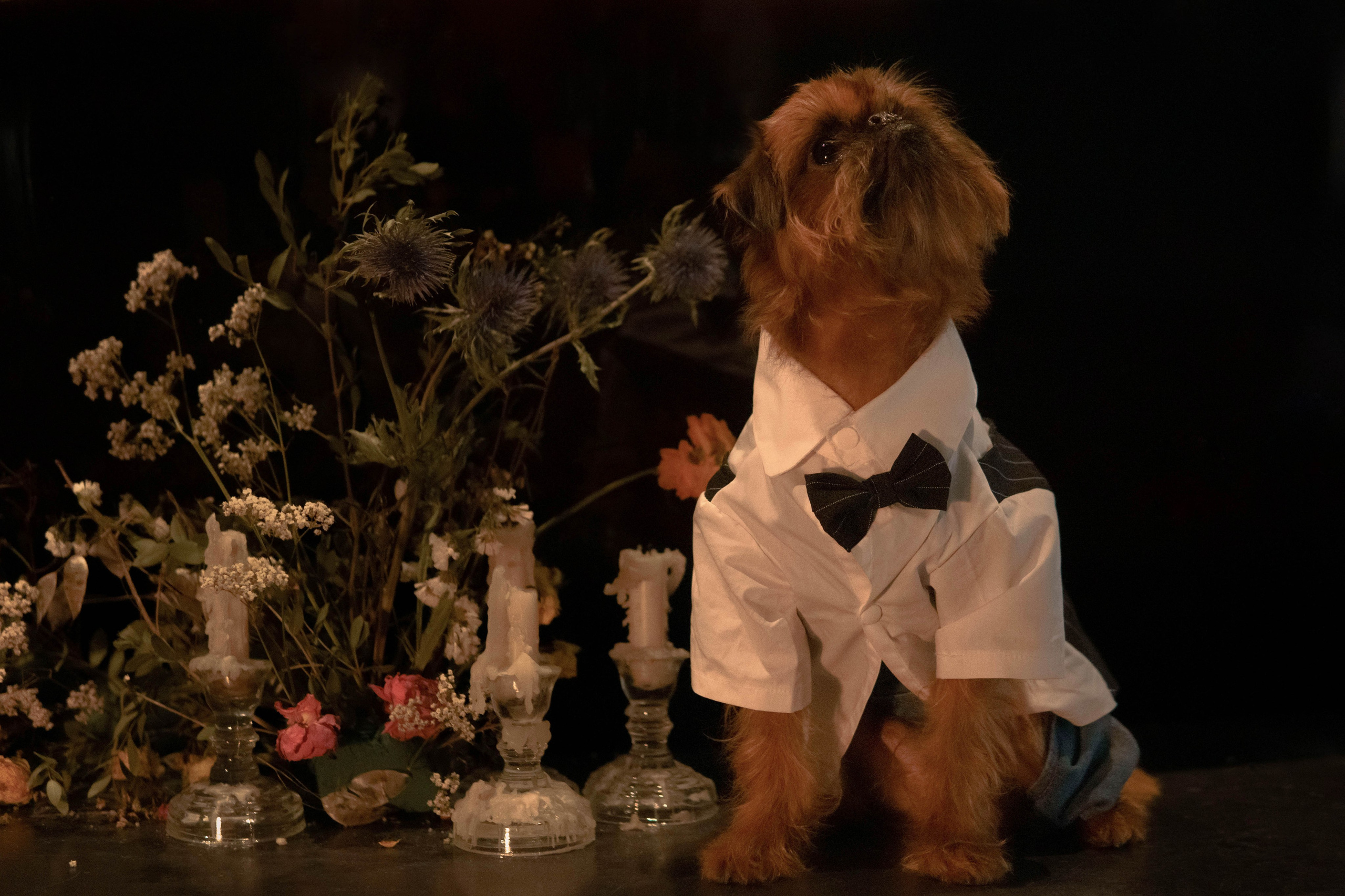 Наташа и Хавьер. Фотограф-анималист Ксения Воробьева, Москва