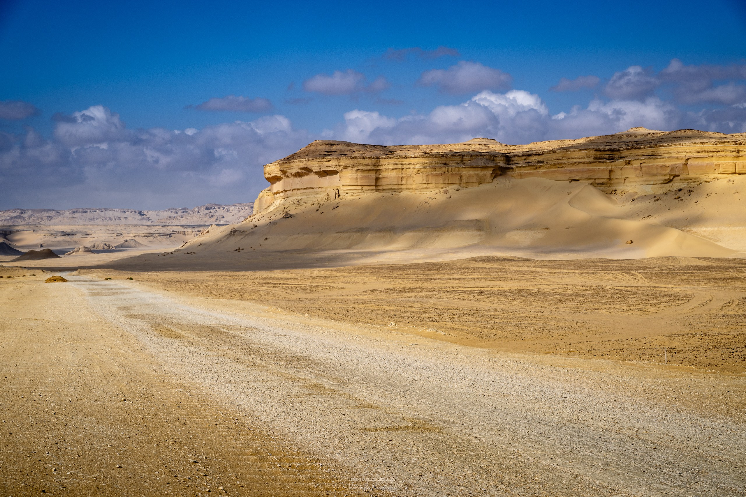 Снова в пустыню, за скелетами…. Авторские стильные фотокартины