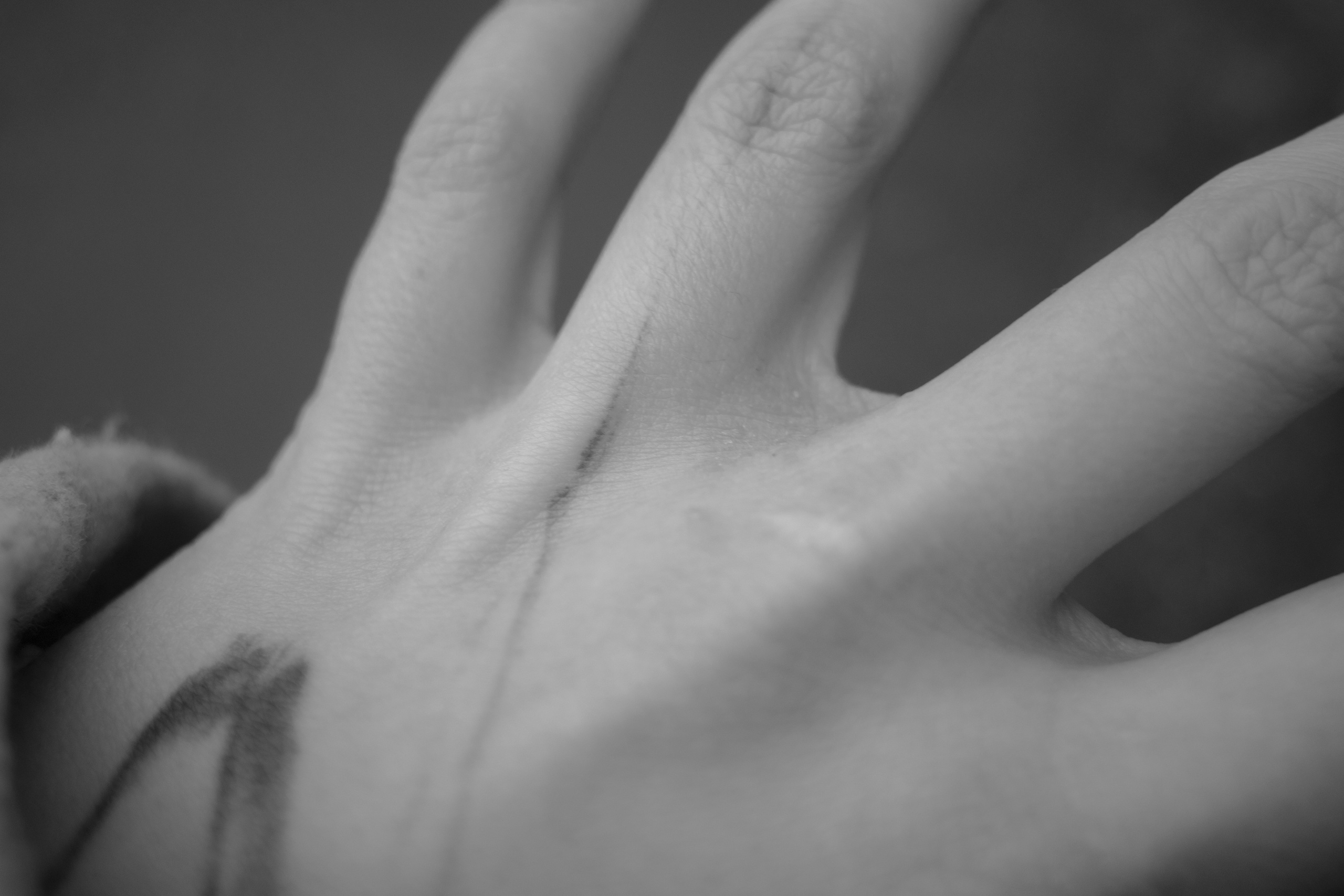 ART. Фотограф Злата Спицына