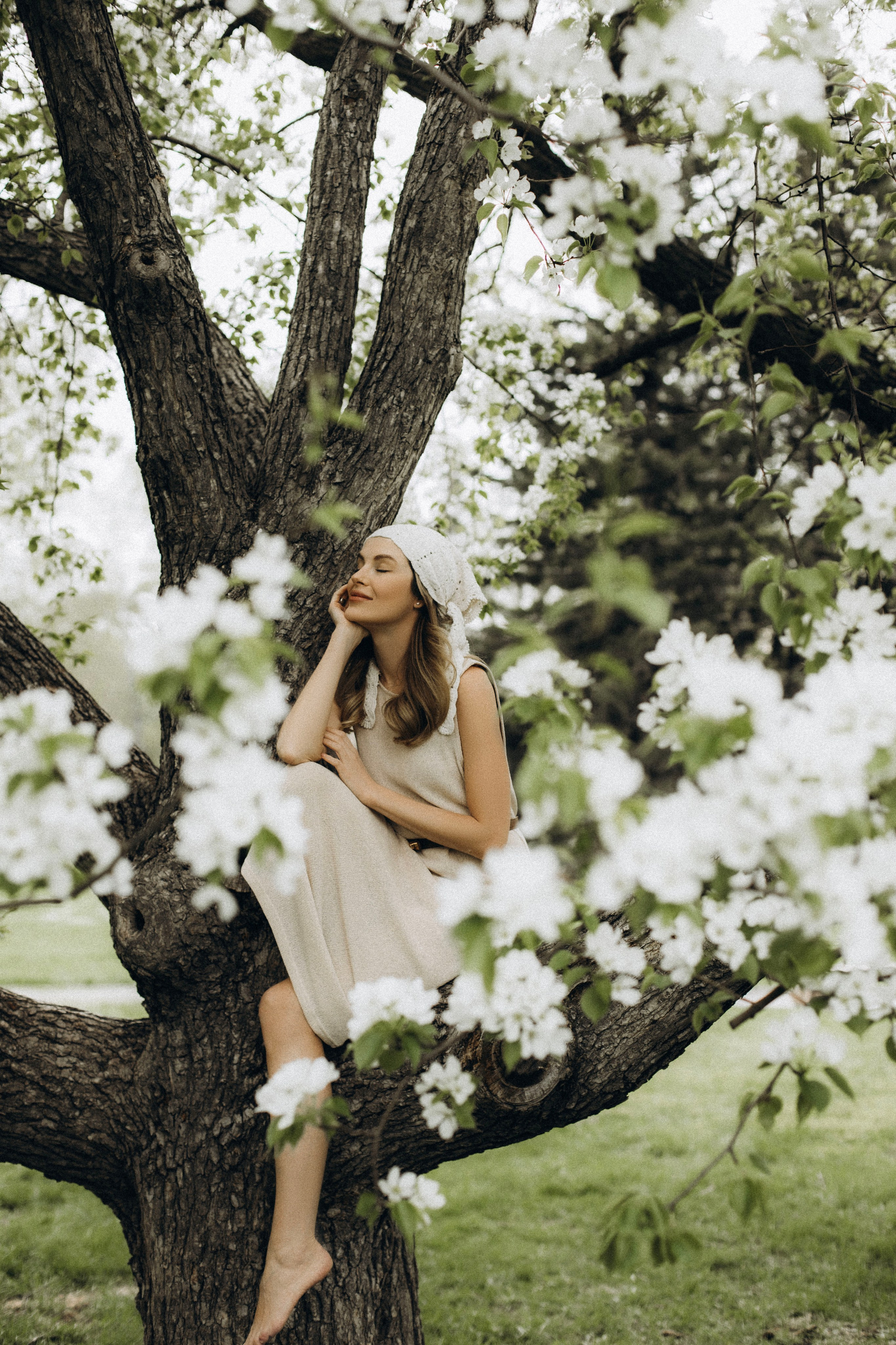 Сад. Фотограф