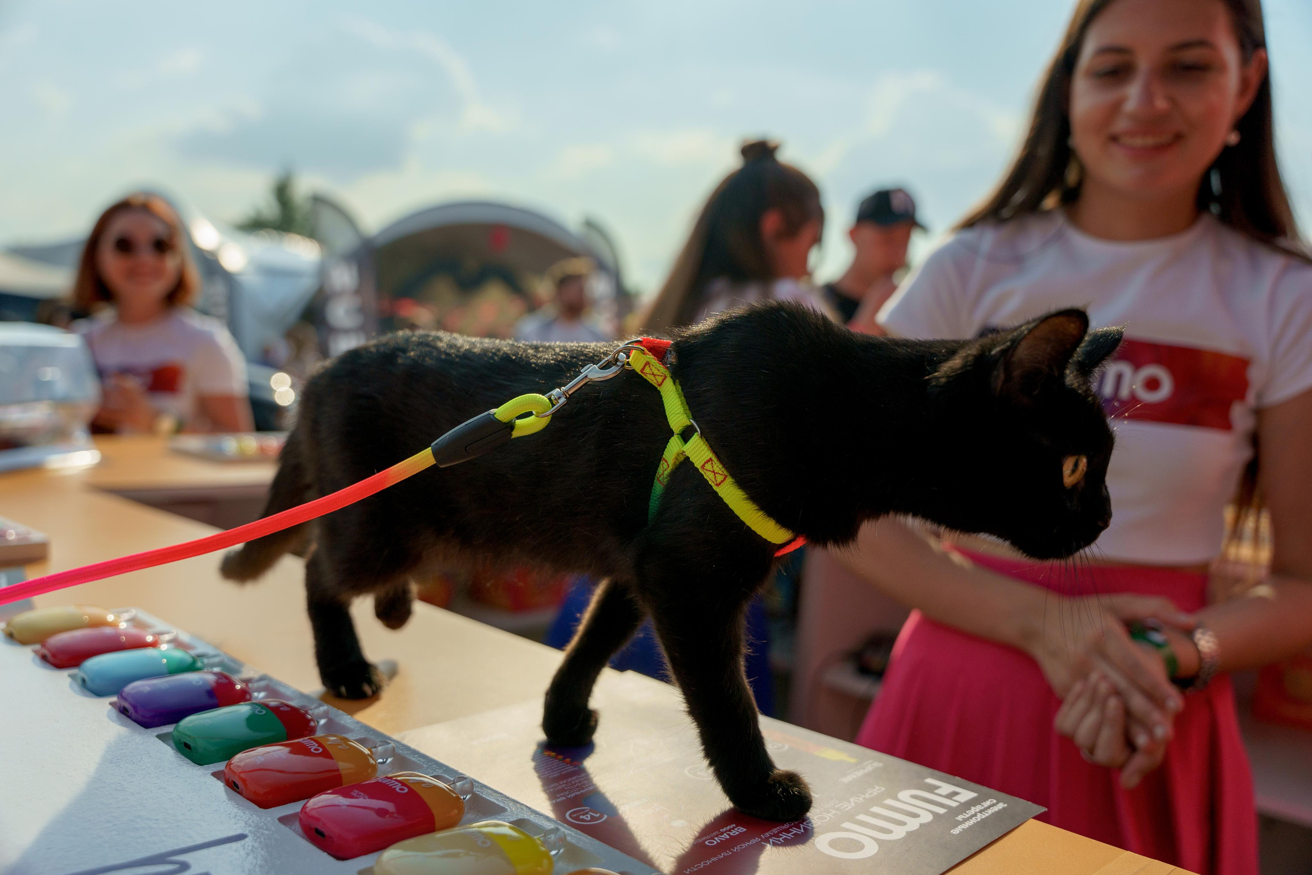 Репортажный фотограф на фестиваль Jonh Caliano и Vape Club Show. Репортажный фотограф Москва Сергей Дружинин