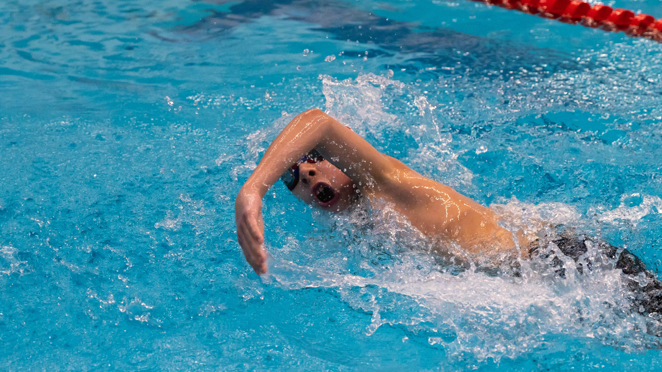 Открытый новогодний турнир по плаванию «Сила воды», 2025. Фотограф и видеооператор Екатерина Гнатюк