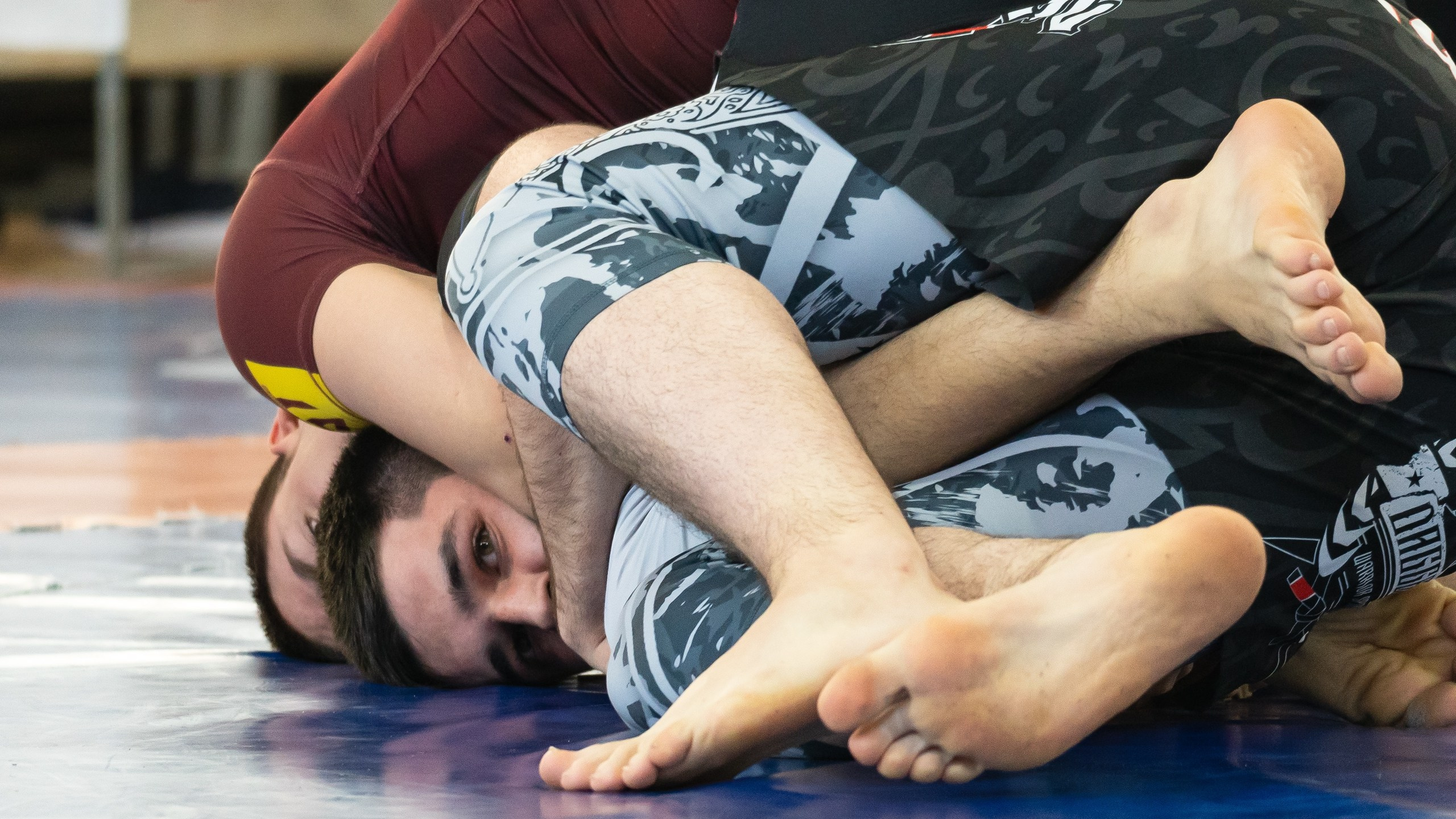 Чемпионат России по грэпплингу среди студентов 2025. Фотограф и видеооператор Екатерина Гнатюк