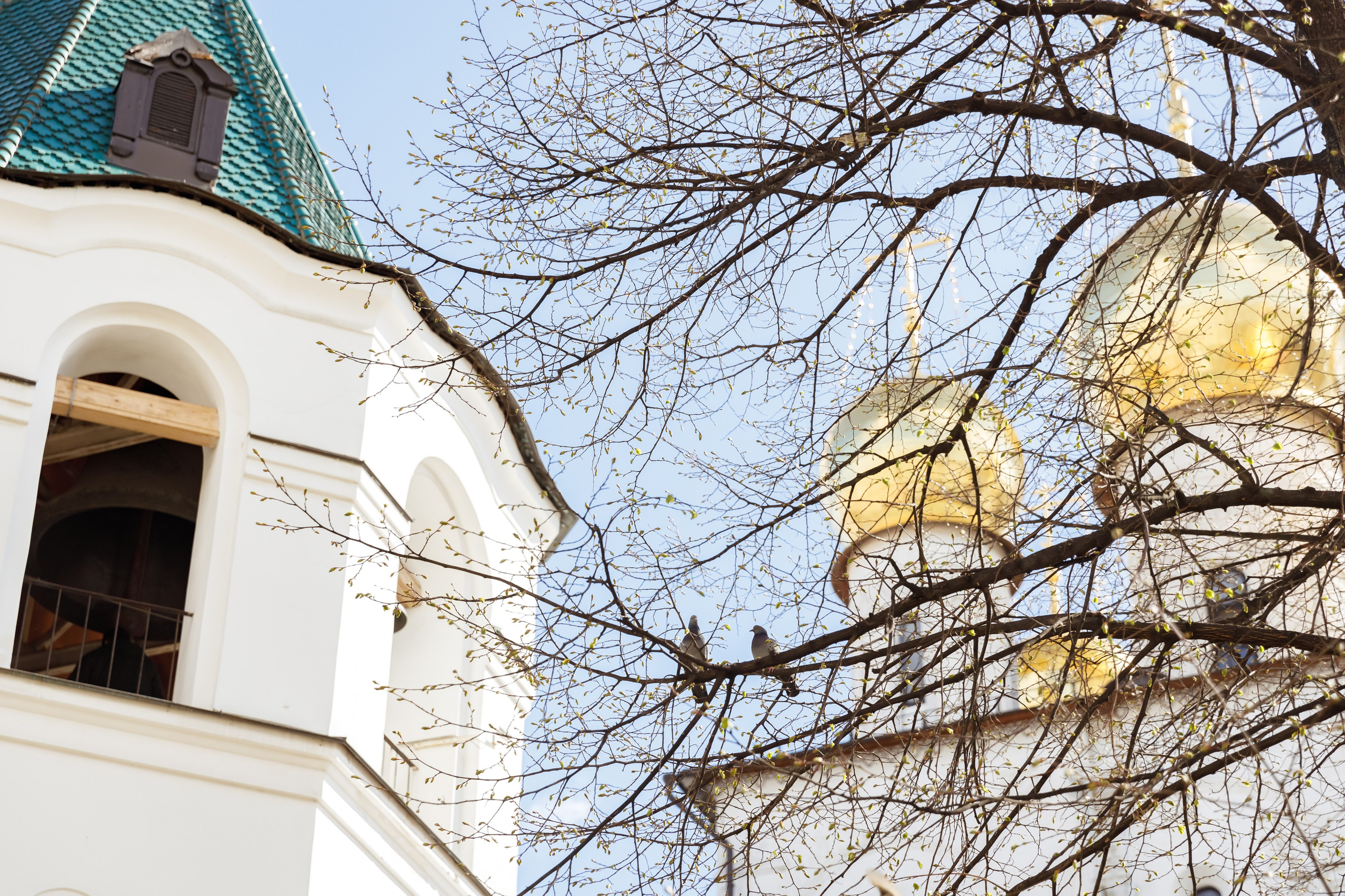 Феодоровский собор Венчание. Свадебный фотограф, крещение, венчание СПБ, Белгород Анна Коршунова