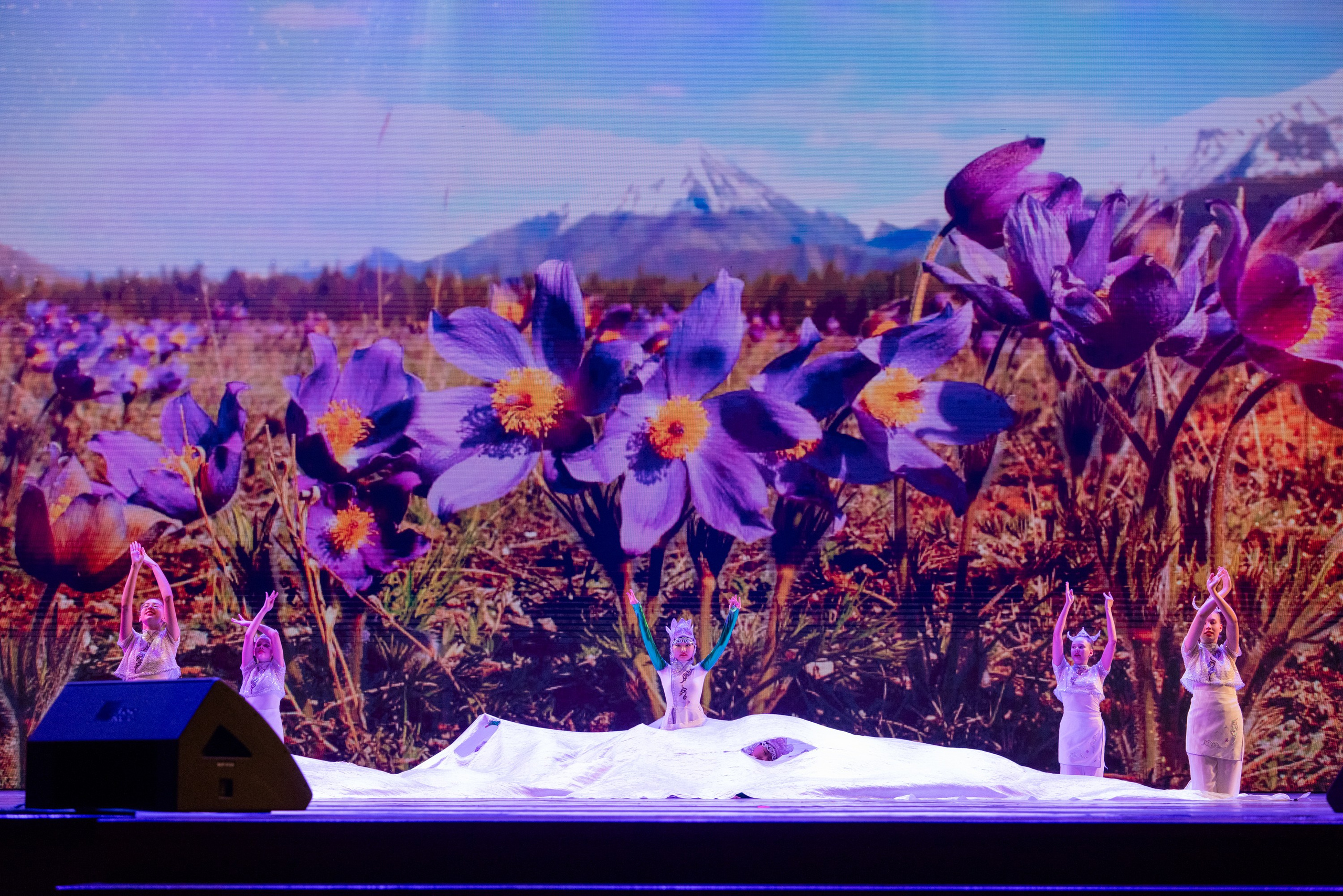 18 мая, г. Москва, Кремль, Концерт. Золотое яблочко