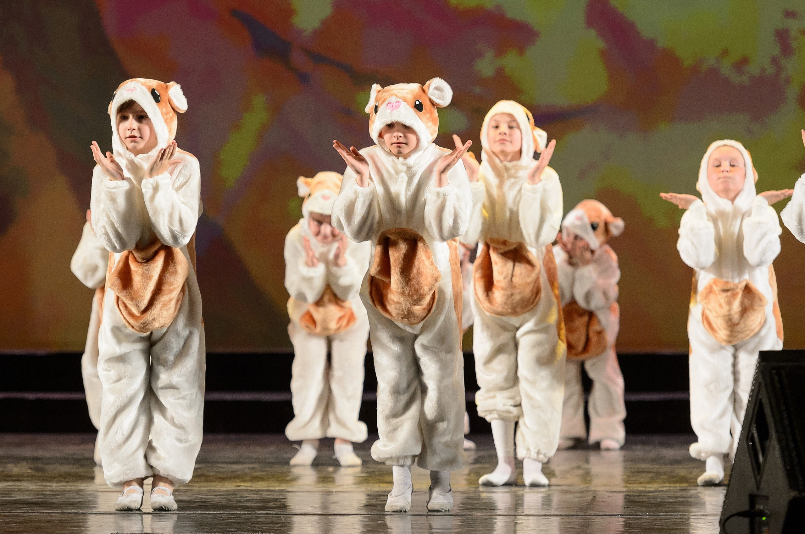 23 мая, концерт 5 лет, БКЗ. Золотое яблочко