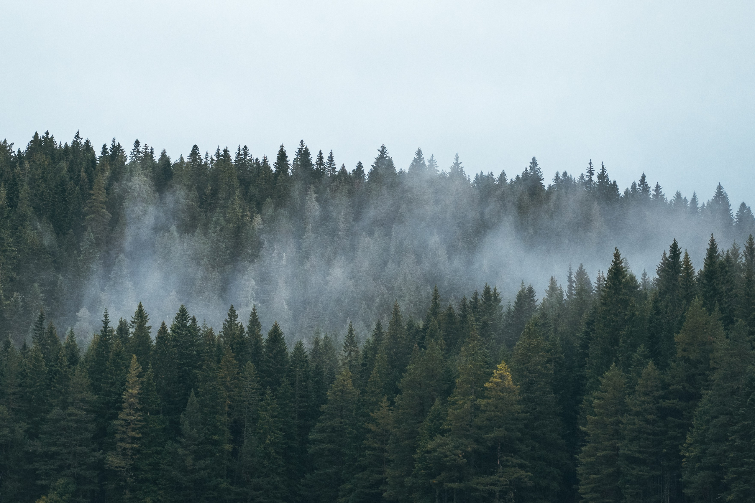 ДУРМИТОР. ЧЕРНОЕ ОЗЕРО. Фотограф в Белграде Чугреева Елена