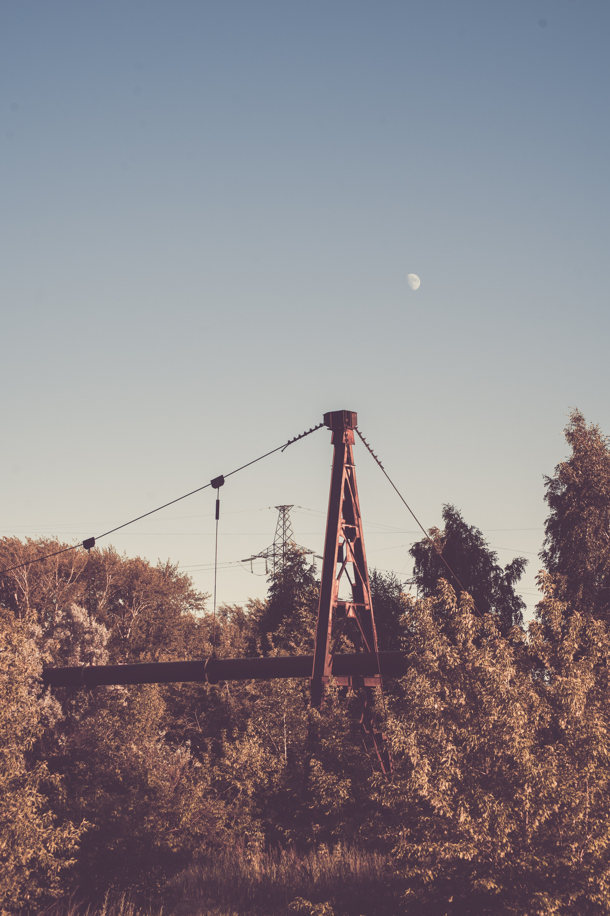 Tender Colors of a Heavy City. Whoii art